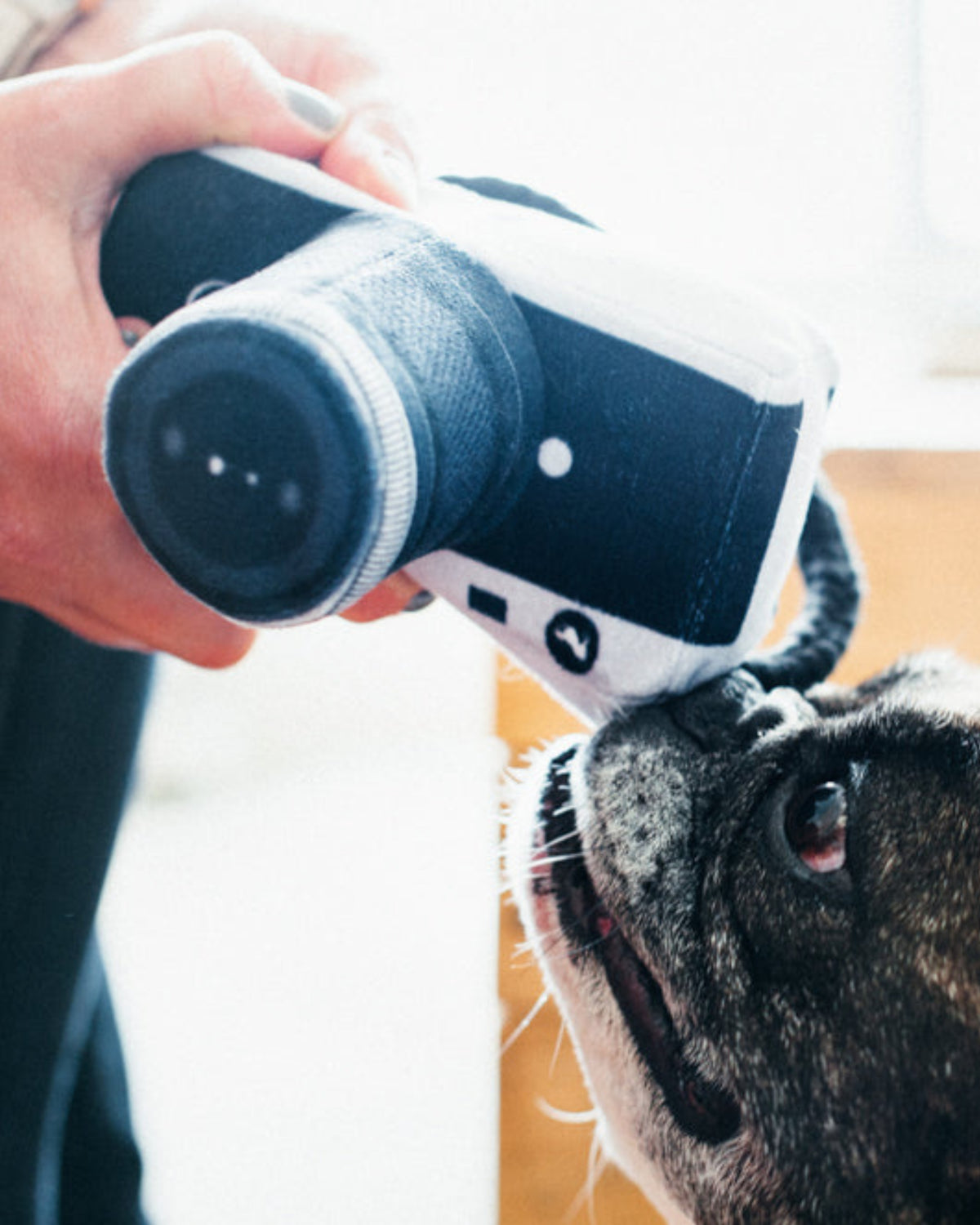 Fotoğraf Makinesi Figürlü Çıtırtılı Sesli Peluş Köpek Oyuncağı P.L.A.Y. Globetrotter Lens Licker Camera
