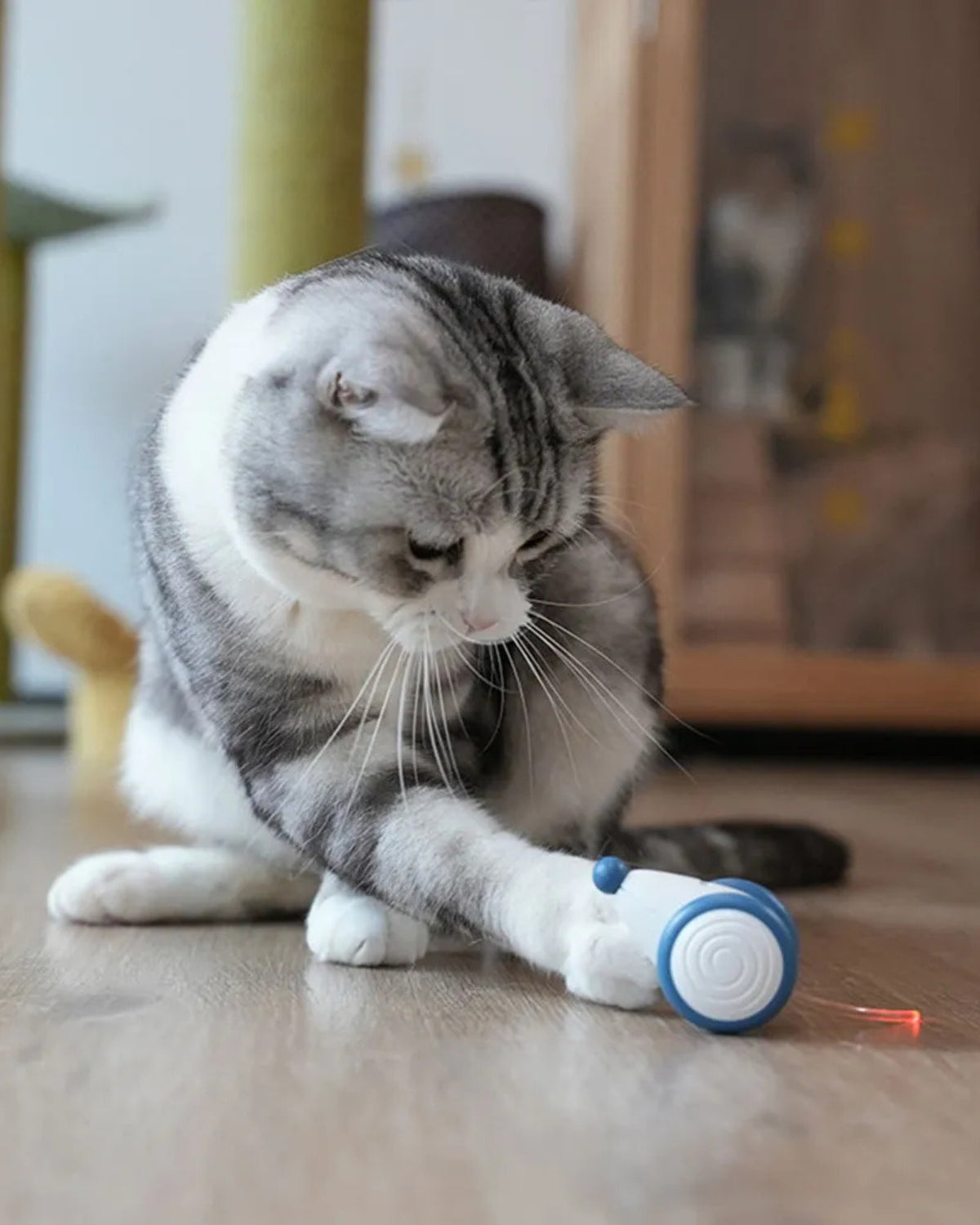 Gerçek Av Gibi Hareket Eden Kuyruklu Işıklı Şarjlı İnteraktif Kedi Oyuncağı Fare Cheerble Wicked Mouse Neo