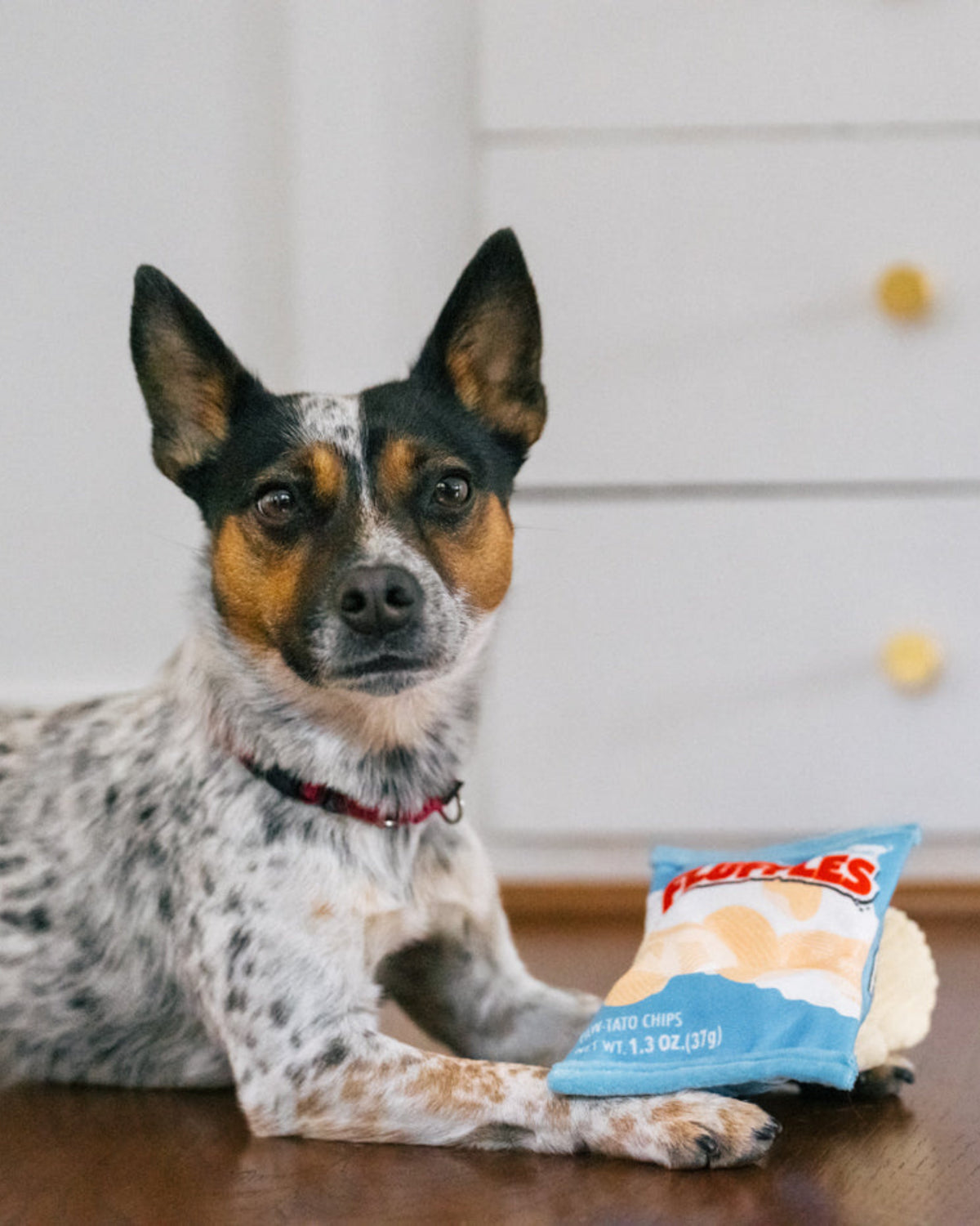 Gizli Cipsli Bungee İpli Hışırtılı Sesli Peluş Köpek Oyuncağı Cips Paketi P.L.A.Y. Snack Attack Fluffles Chips