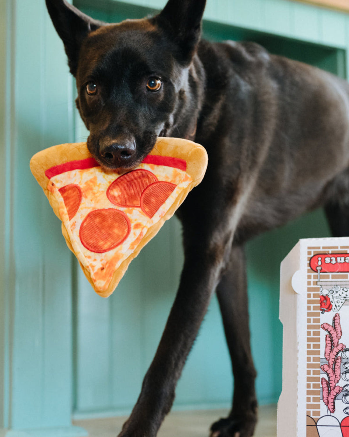 Gizli İpli Pizza Dilimi Figürlü Hışırtılı Sesli Peluş Köpek Oyuncağı P.L.A.Y. Snack Attack Puppy-roni Pizza