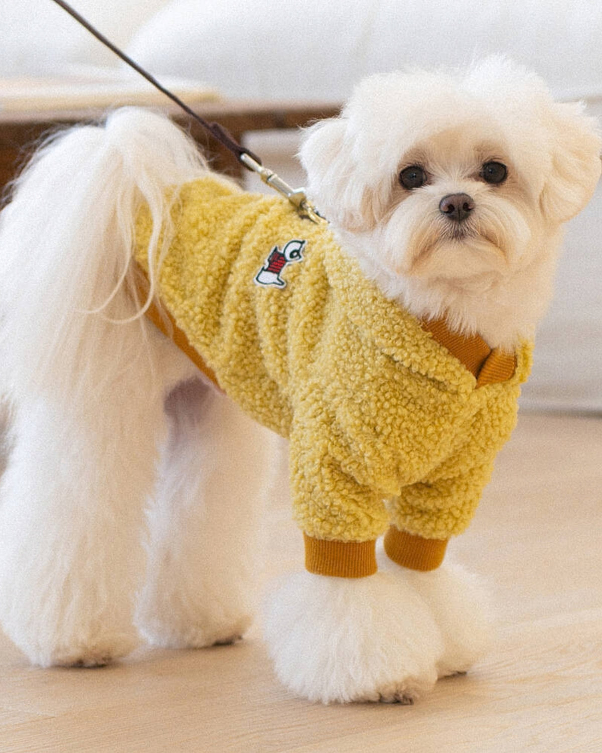 Göğüs Tasmalı Kapüşonlu Peluş Açık Sarı Köpek Sweatshirtü Puppia Lasta