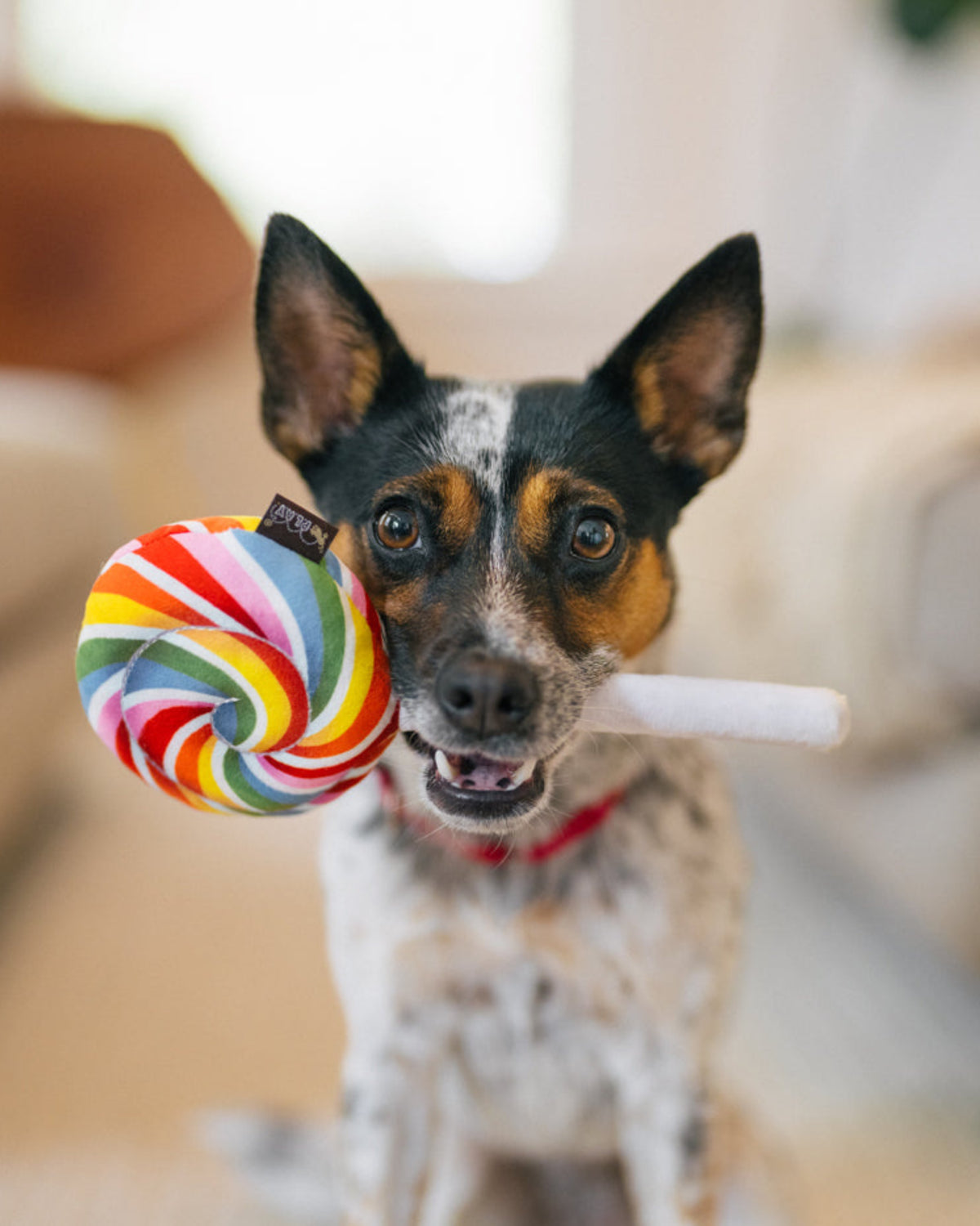 Gökkuşağı Lolipop Şeker Figürlü Gizli İpli Sesli Peluş Köpek Oyuncağı P.L.A.Y. Snack Attack Lollipup