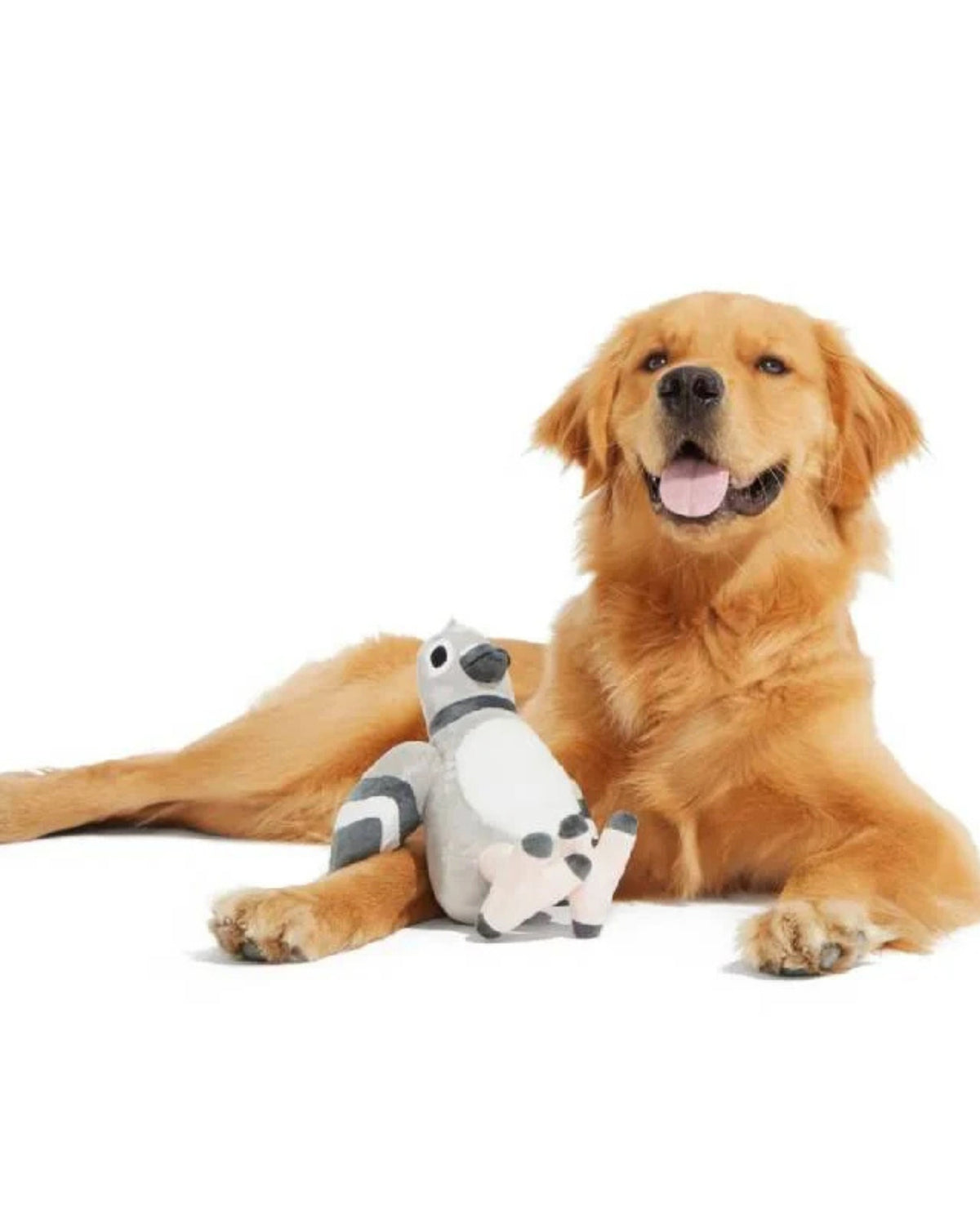 Güvercin Figürlü Peluş Köpek Oyuncağı BARK Gideon the Pigeon