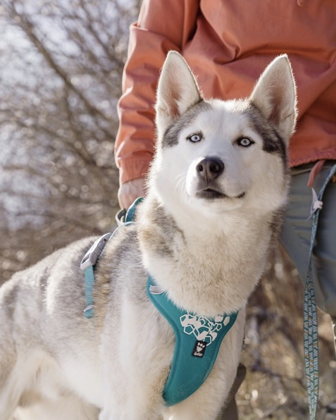 Tutamaklı Neopren Dolgulu Reflektörlü Köpek Göğüs Tasması Hurtta Weekend Warrior Harness