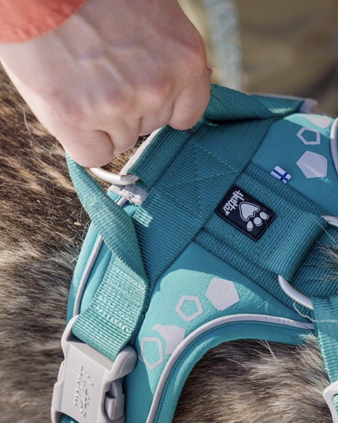 Tutamaklı Neopren Dolgulu Reflektörlü Köpek Göğüs Tasması Hurtta Weekend Warrior Harness