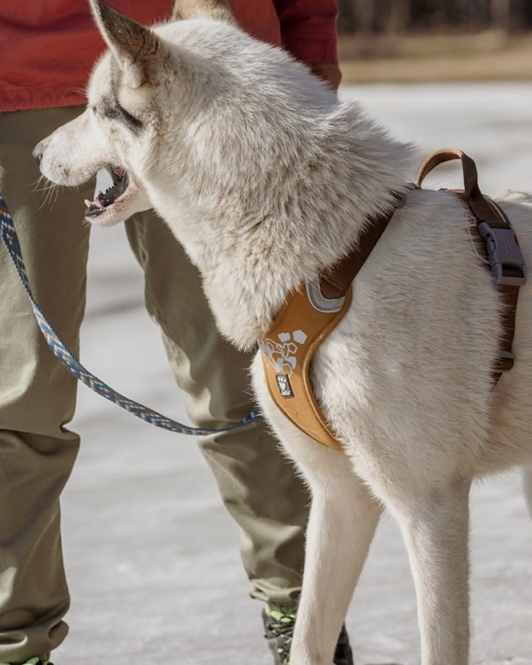 Tutamaklı Neopren Dolgulu Reflektörlü Köpek Göğüs Tasması Hurtta Weekend Warrior Harness