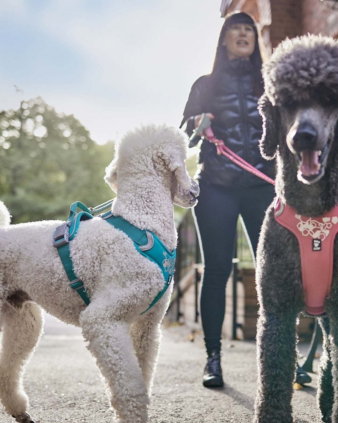 Tutamaklı Neopren Dolgulu Reflektörlü Köpek Göğüs Tasması Hurtta Weekend Warrior Harness