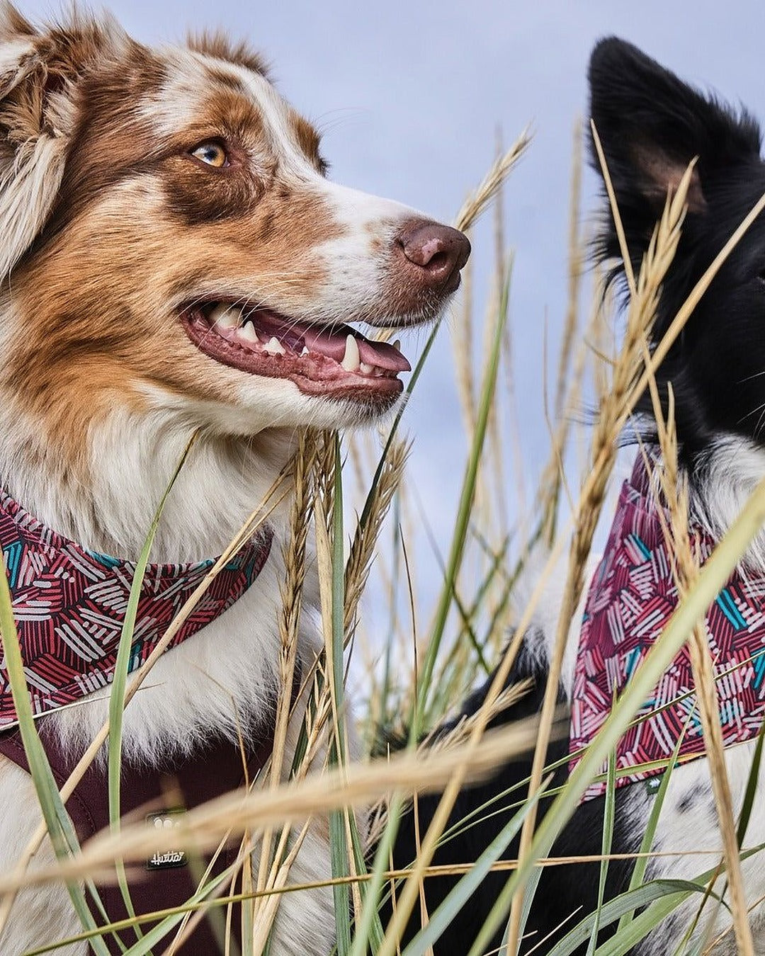 Tamamı Reflektör Baskılı Desenli Köpek Bandanası Hurtta Zhero Safety Bandana ECO