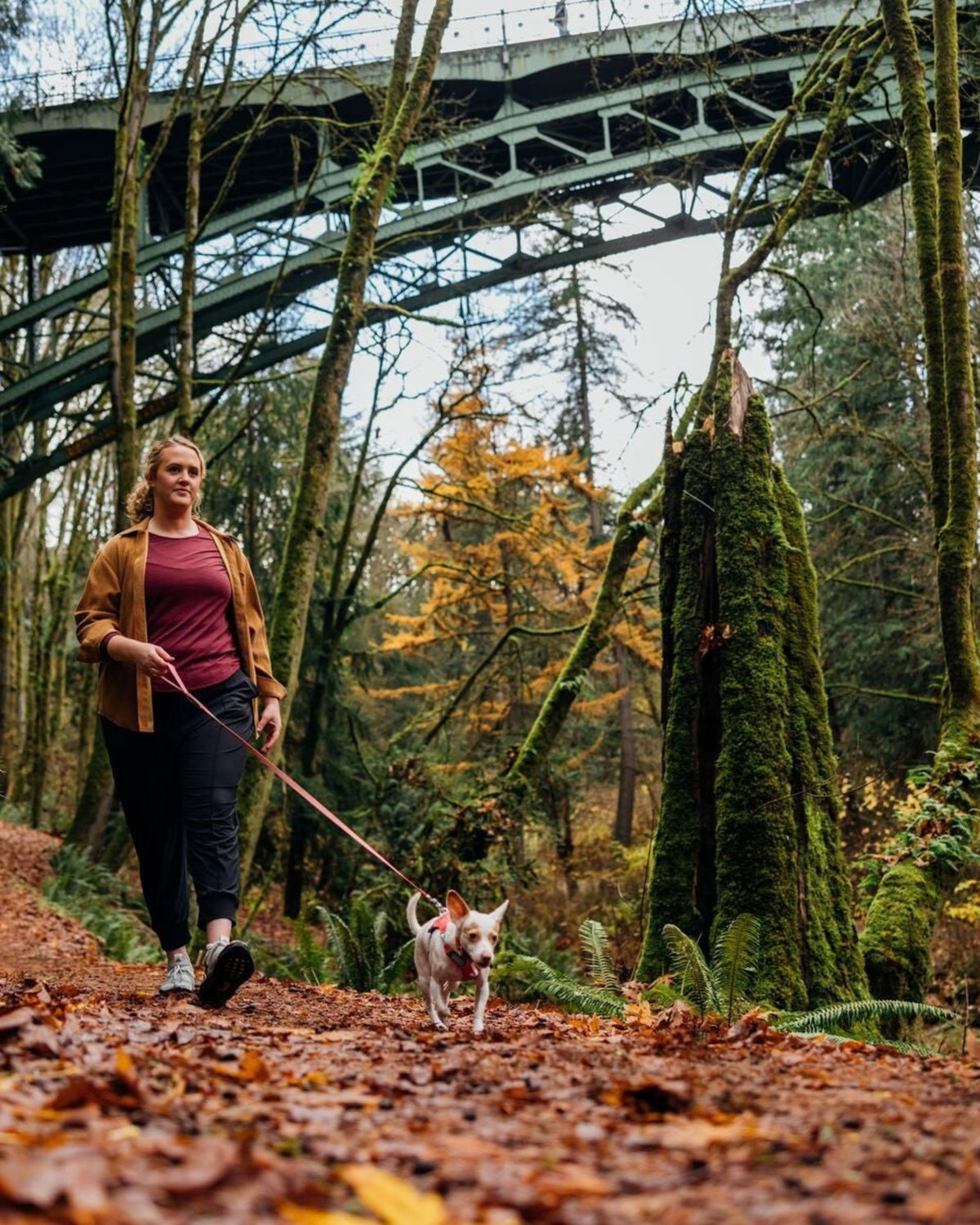 Hafif Köpek Gezdirme Tasması Ruffwear Hi&Light