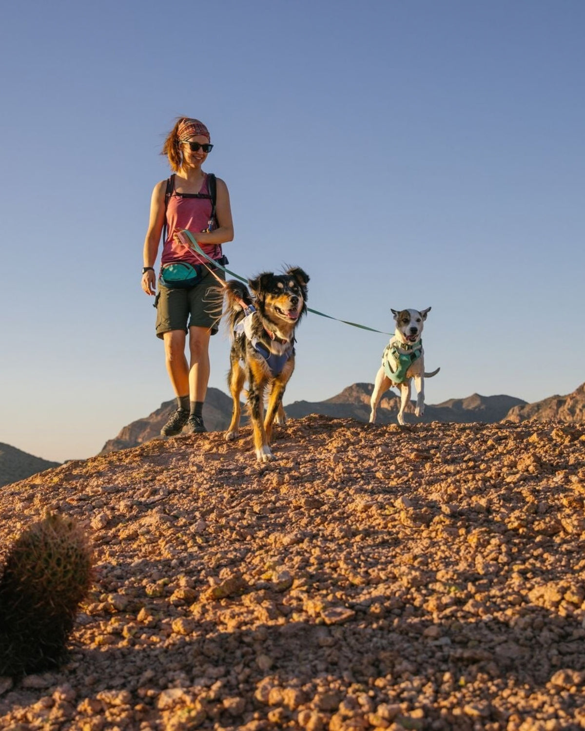 Hafif Köpek Gezdirme Tasması Ruffwear Hi&Light