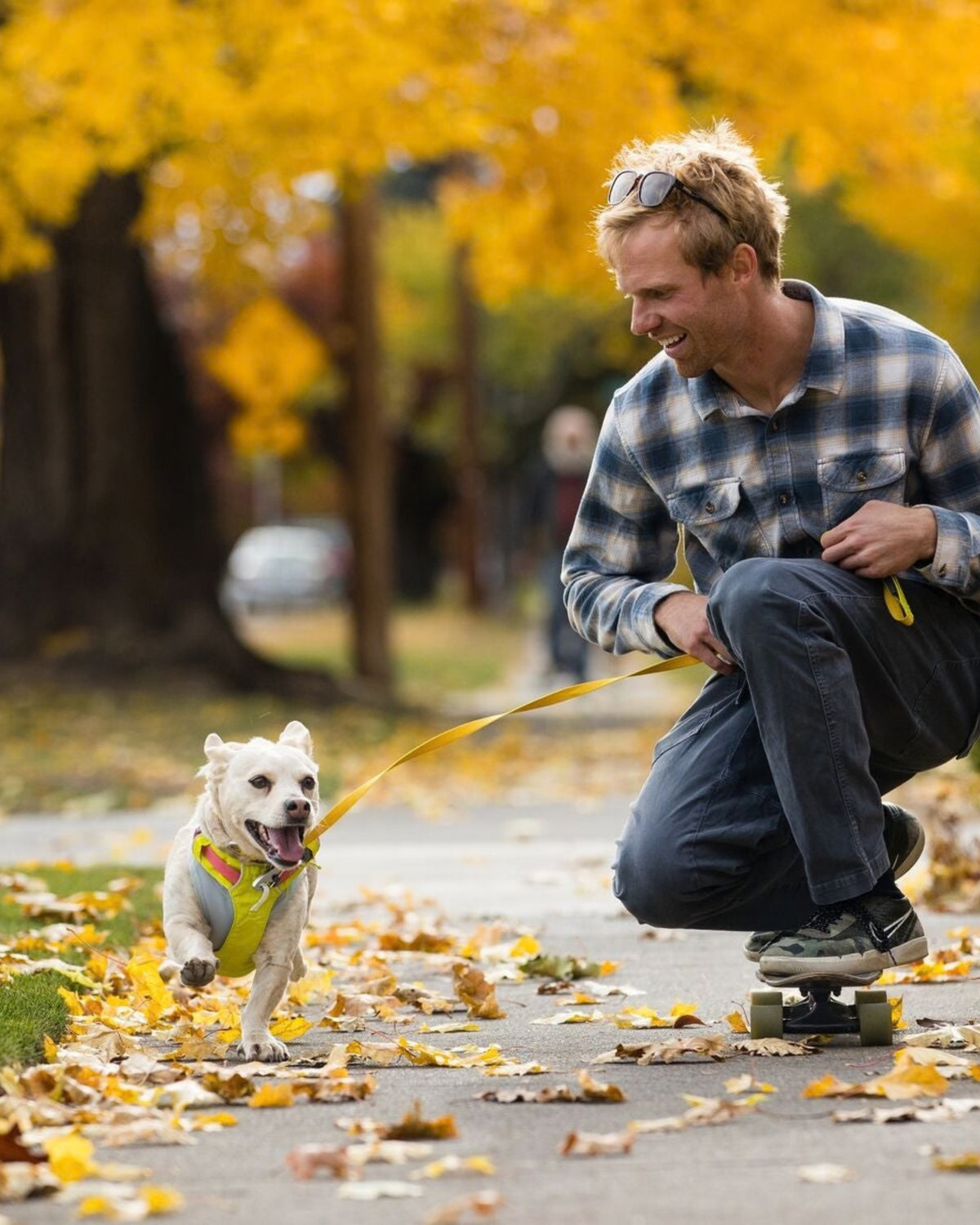 Hafif Köpek Gezdirme Tasması Ruffwear Hi&Light