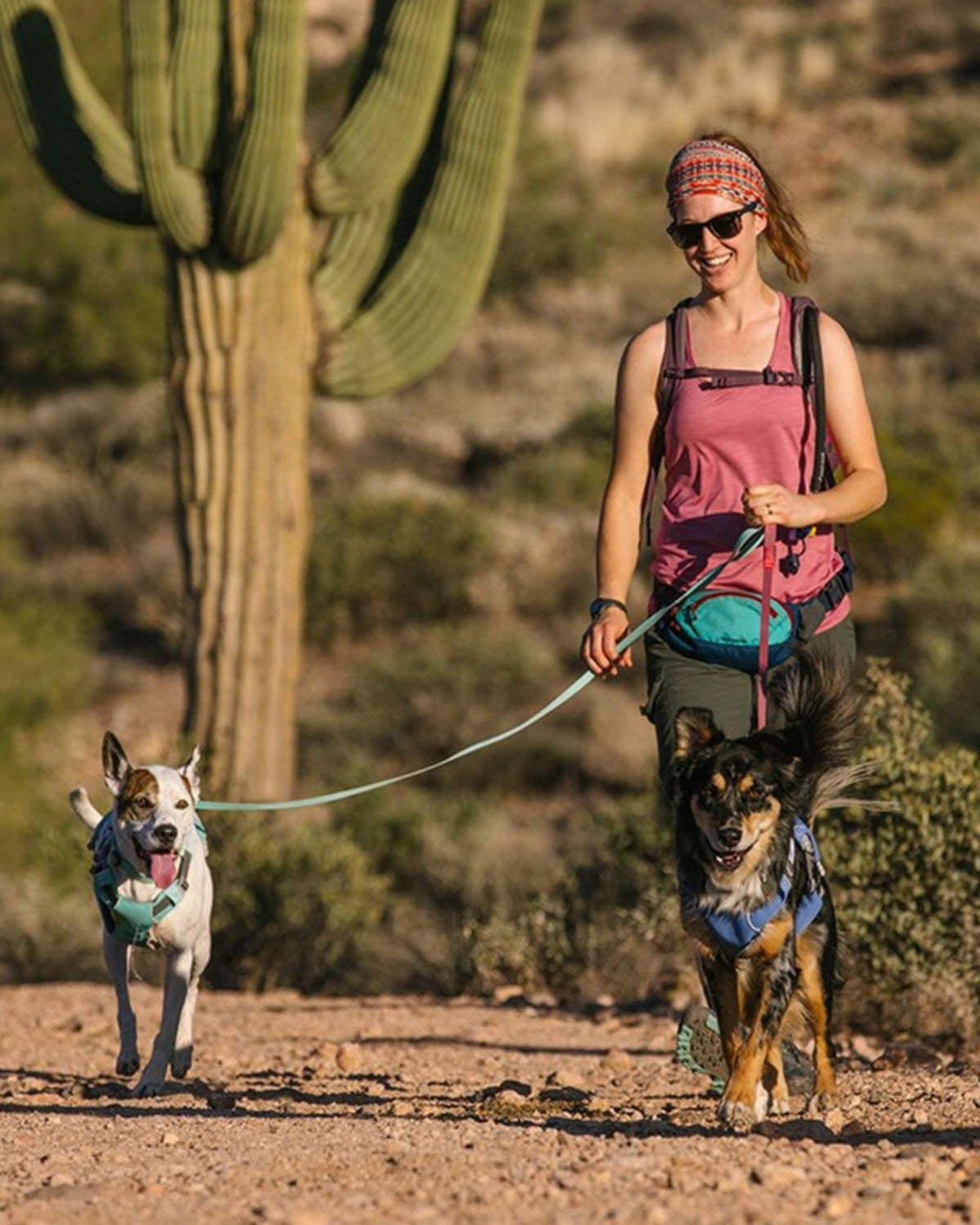 Hafif Köpek Gezdirme Tasması Ruffwear Hi&Light