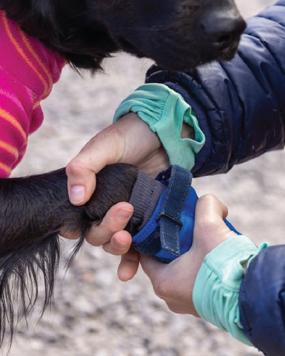 Hafif Köpek Ayakkabısı Ruffwear Hi&Light