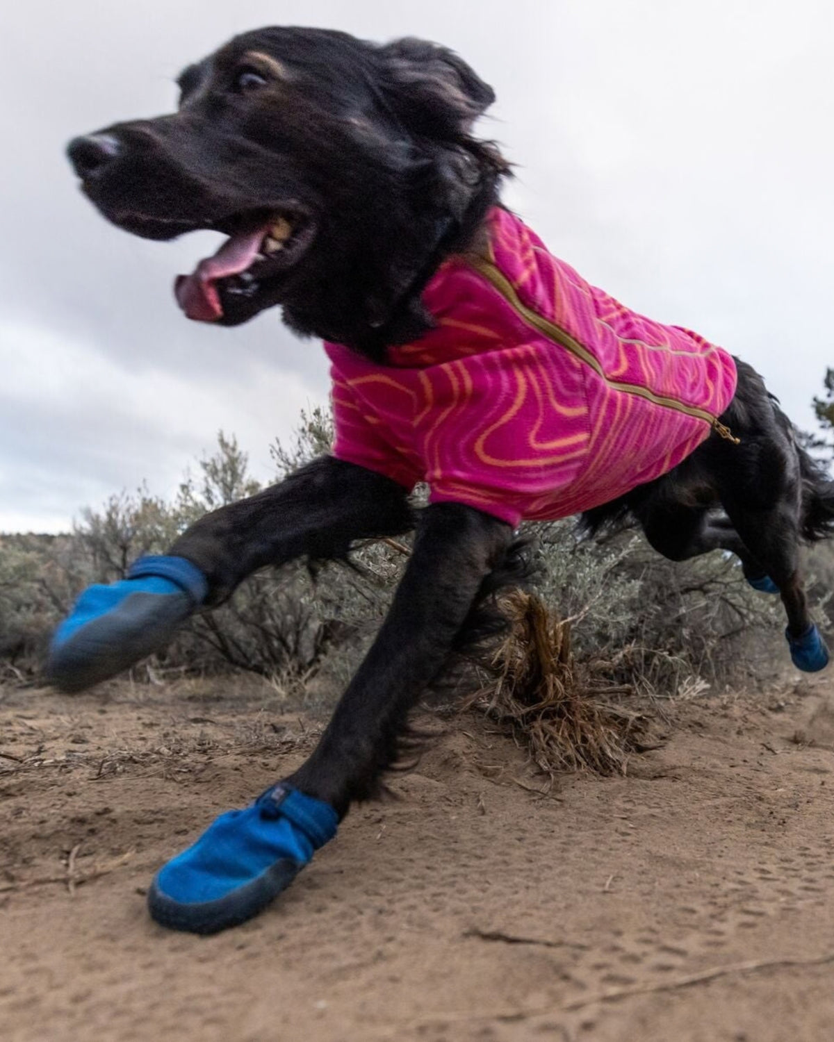 Hafif Köpek Ayakkabısı Ruffwear Hi&Light