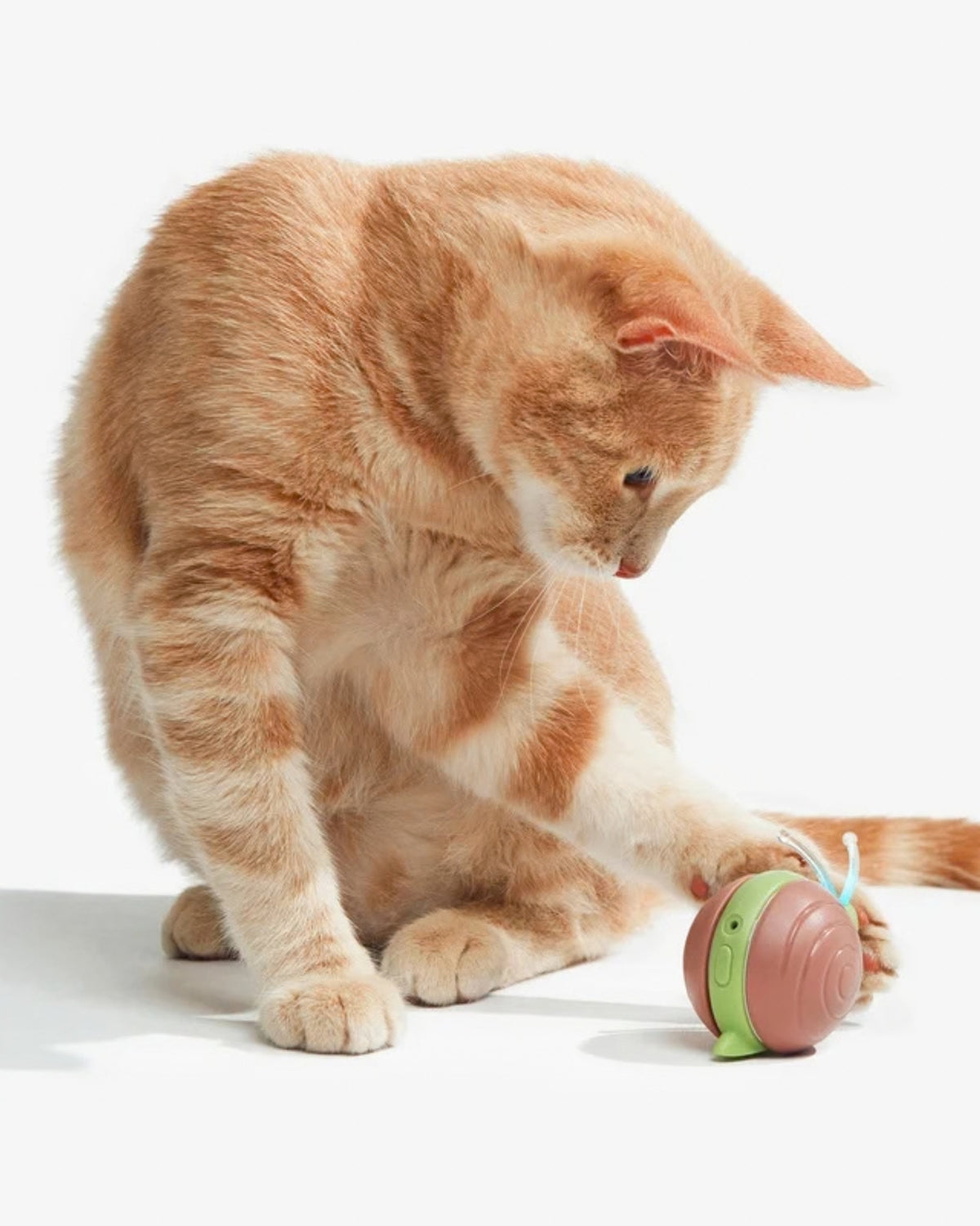 Hareketli Işıklı Şarjlı İnteraktif Kedi Oyuncağı Salyangoz Cheerble Wicked Snail