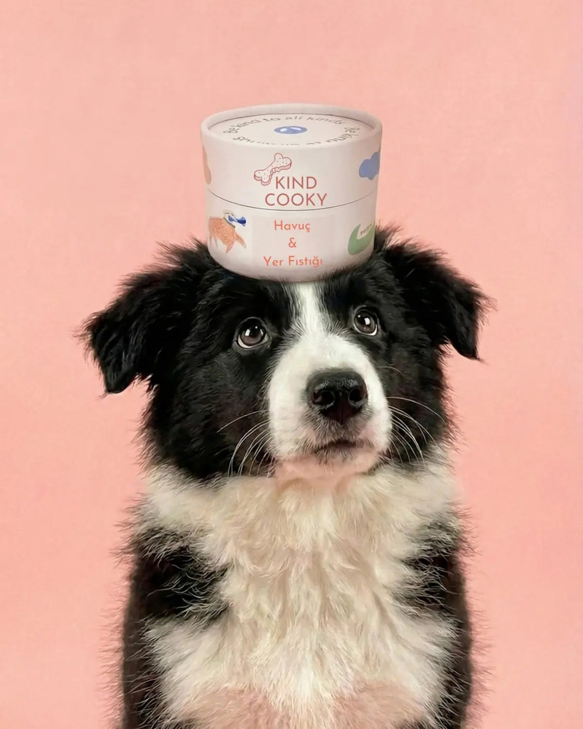 Havuçlu ve Yer Fıstıklı Vegan Köpek Eğitim Ödülü Kind Cooky Eğitim Yakıtı