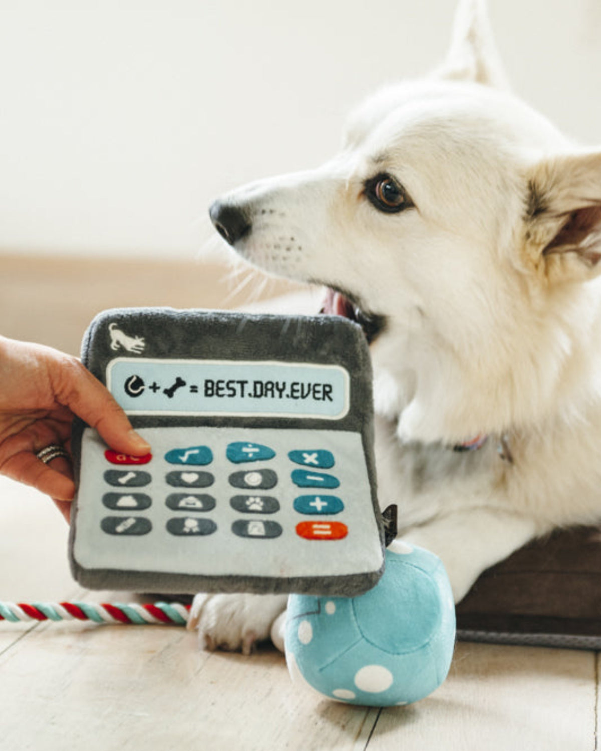 Hesap Makinesi Figürlü Karanlıkta Parlayan Sesli Gri Peluş Köpek Oyuncağı P.L.A.Y. Back to School Doggie Digits