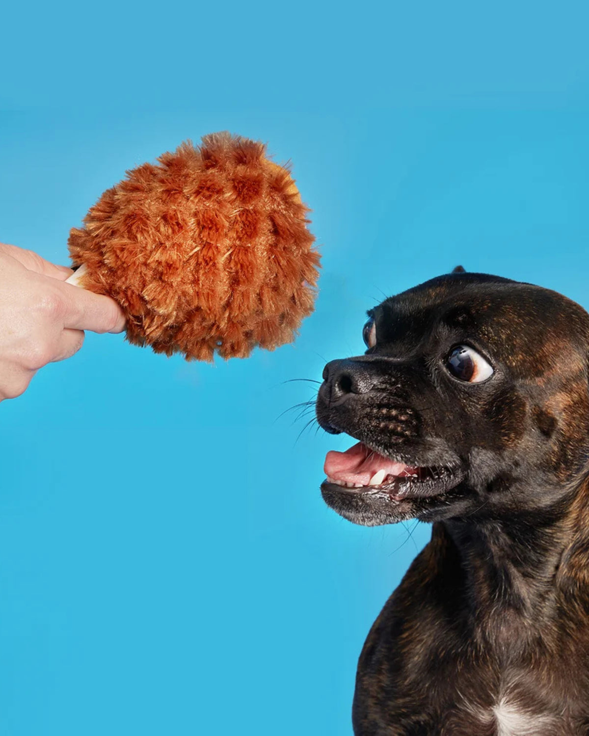 Hindi But Figürlü Sürpriz Toplu Peluş Köpek Oyuncağı BARK Tavern Turkey Leg
