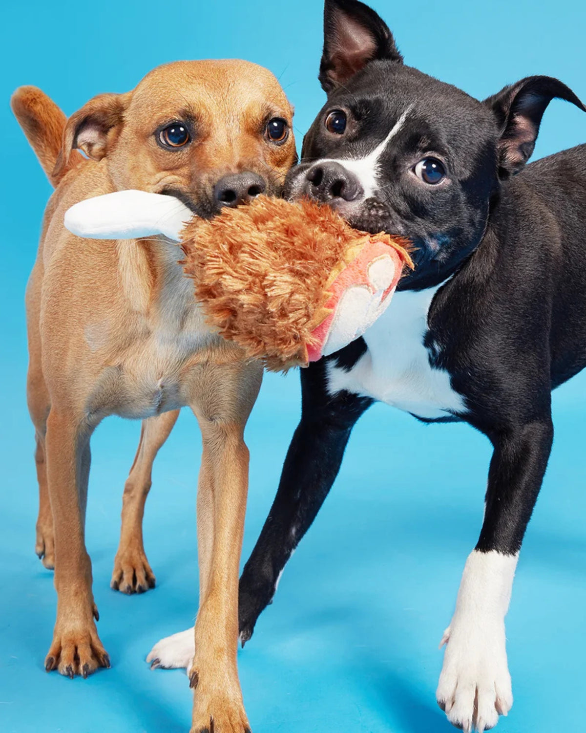 Hindi But Figürlü Sürpriz Toplu Peluş Köpek Oyuncağı BARK Tavern Turkey Leg