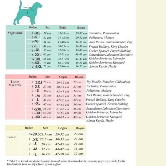 Alphadog Ayıcıklı Yaka Detaylı Tsirt