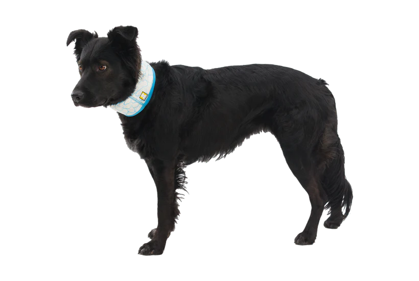 Ruffwear Swamp Cooler™ Serinletici Boyunluk