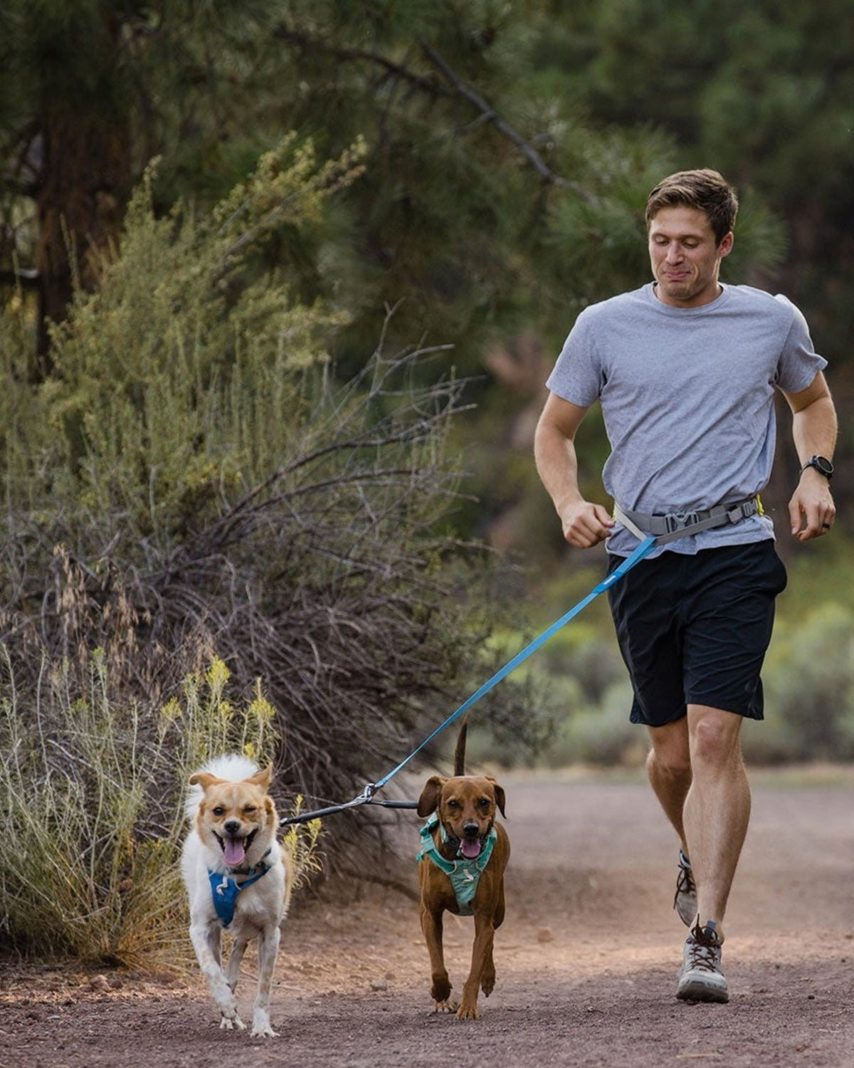 İki Köpek İçin Gezdirme Kayışı Ayırıcı Ruffwear Double Track Gri