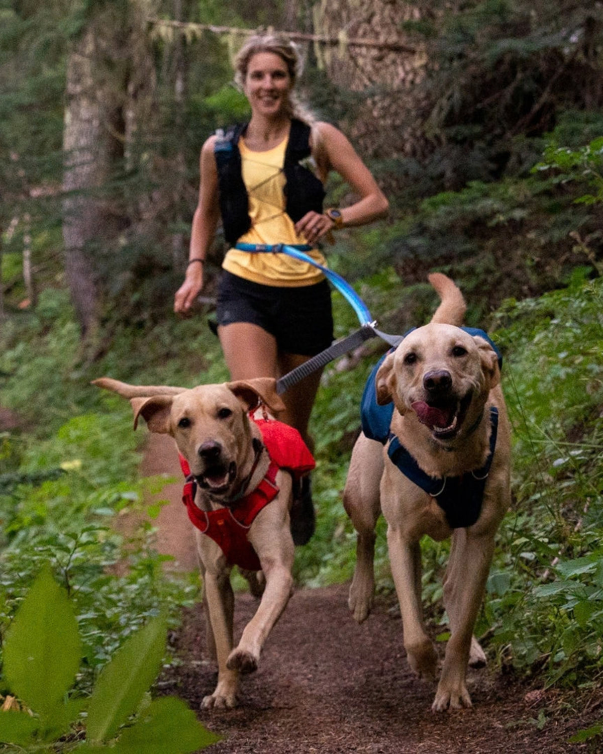 İki Köpek İçin Gezdirme Kayışı Ayırıcı Ruffwear Double Track Gri