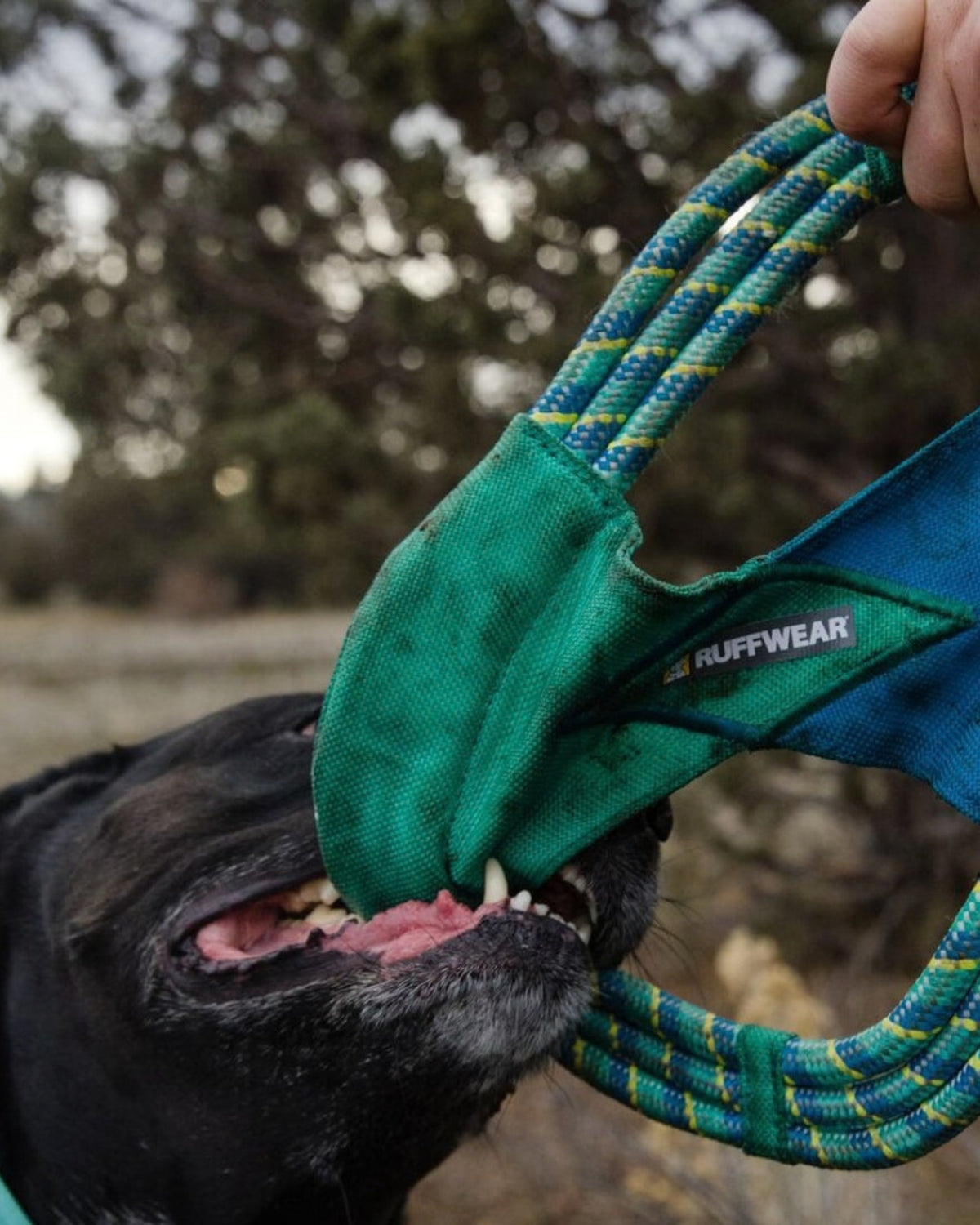 İp Halka Köpek Oyuncağı Ruffwear Pacific Ring