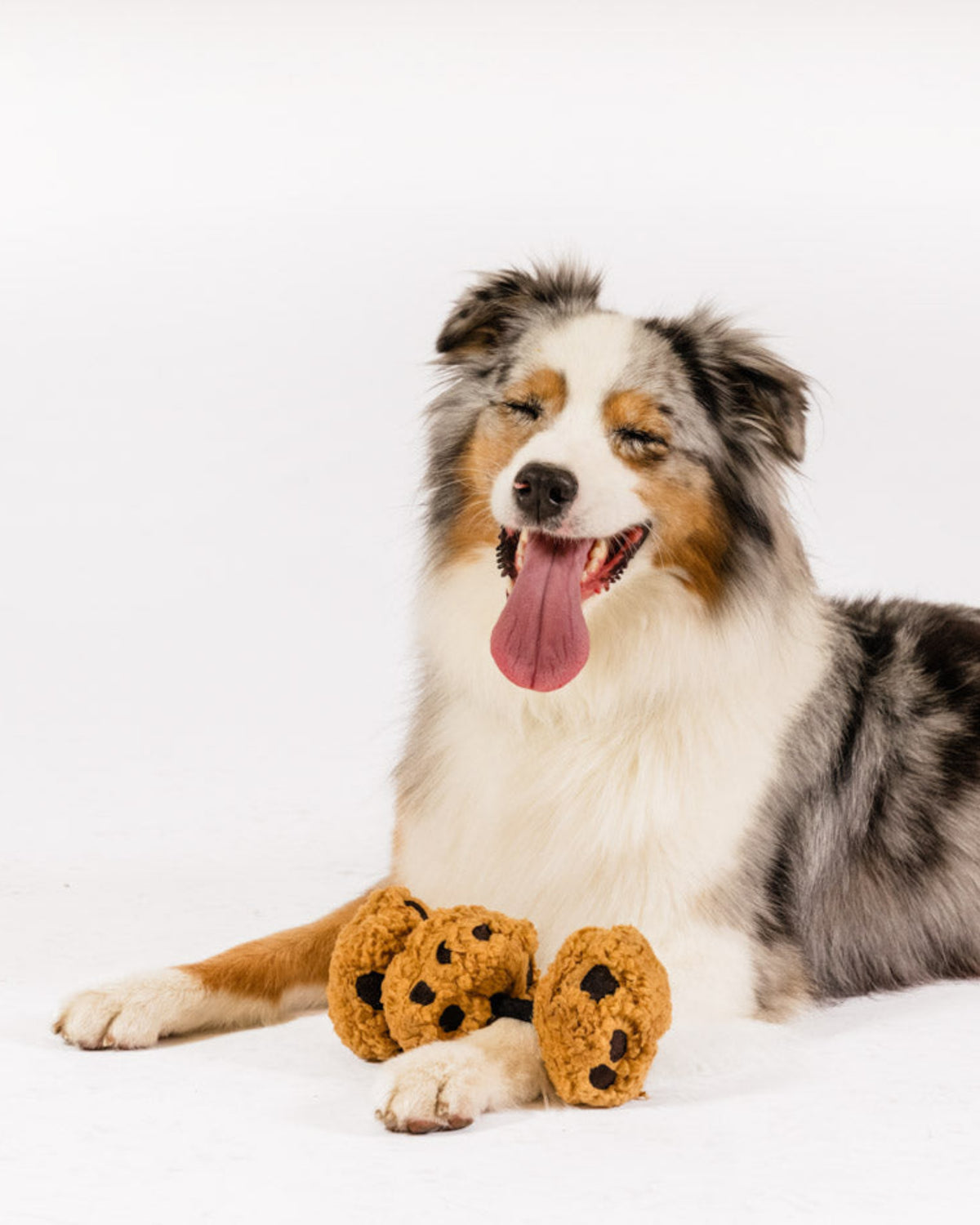 İpe Dizili Kurabiye Figürlü Hışırtılı Sesli Peluş Köpek Oyuncağı P.L.A.Y. Pup Cup Cafe Cookies n’ Treats