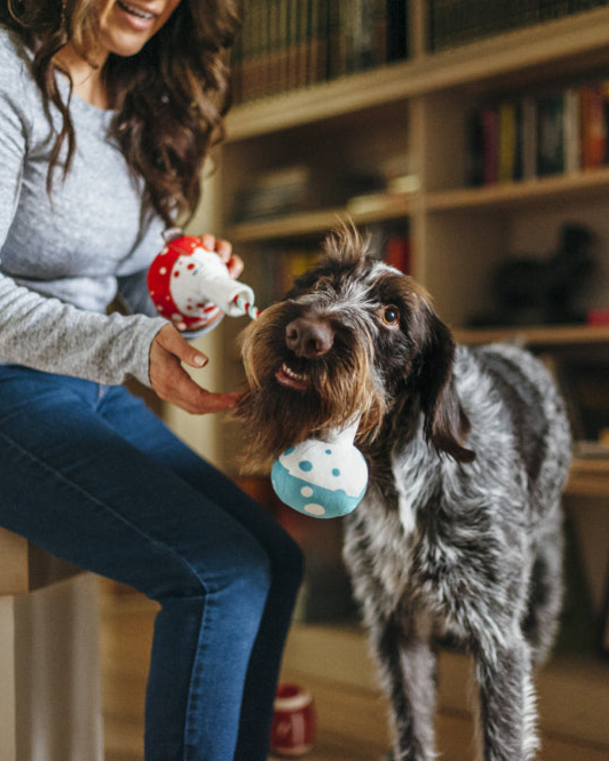 İpli Deney Tüpü Figürlü Sesli Peluş Köpek Oyuncağı P.L.A.Y. Back to School Barking Beakers