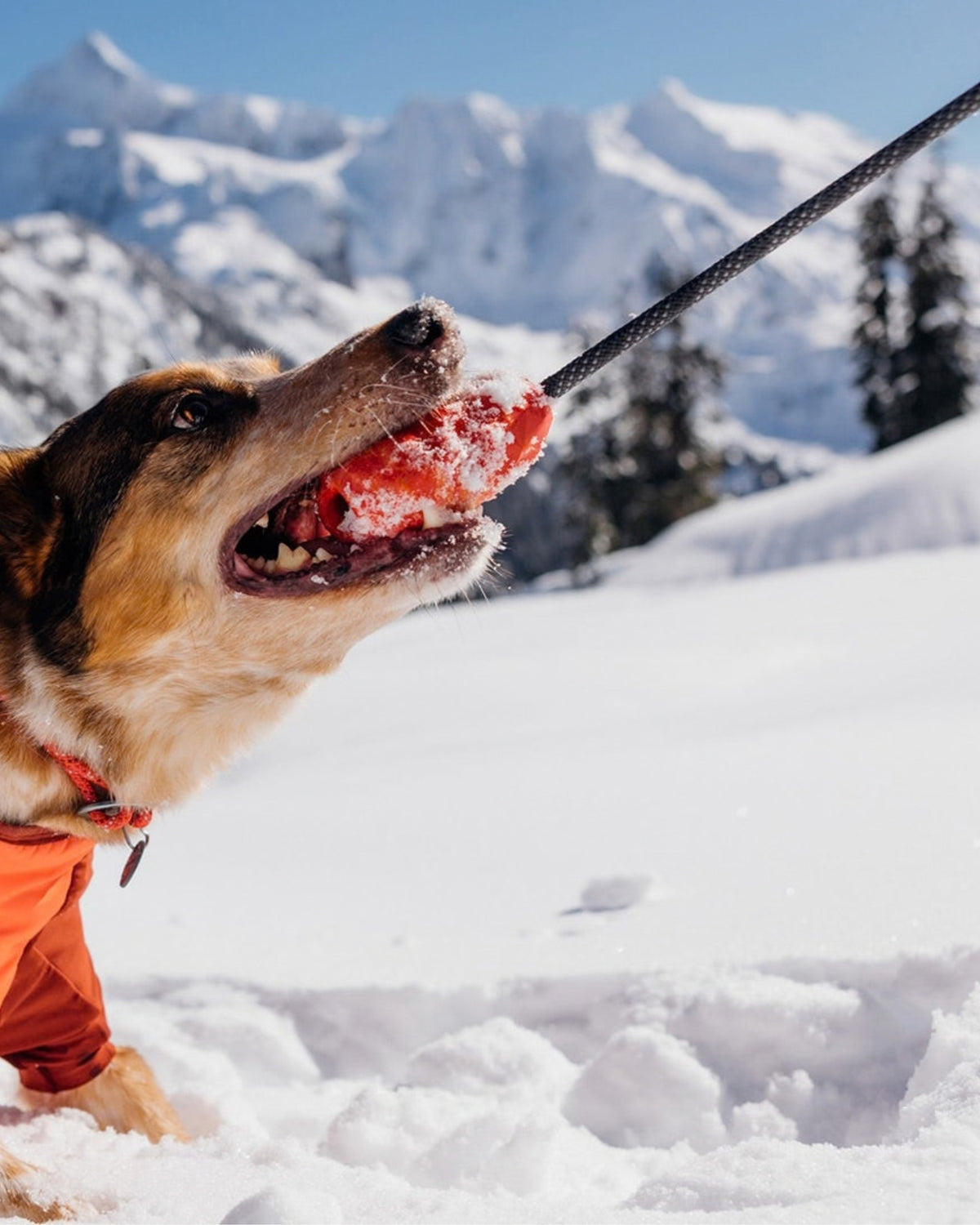 İpli Köpek Oyuncağı Ruffwear Huck a Cone