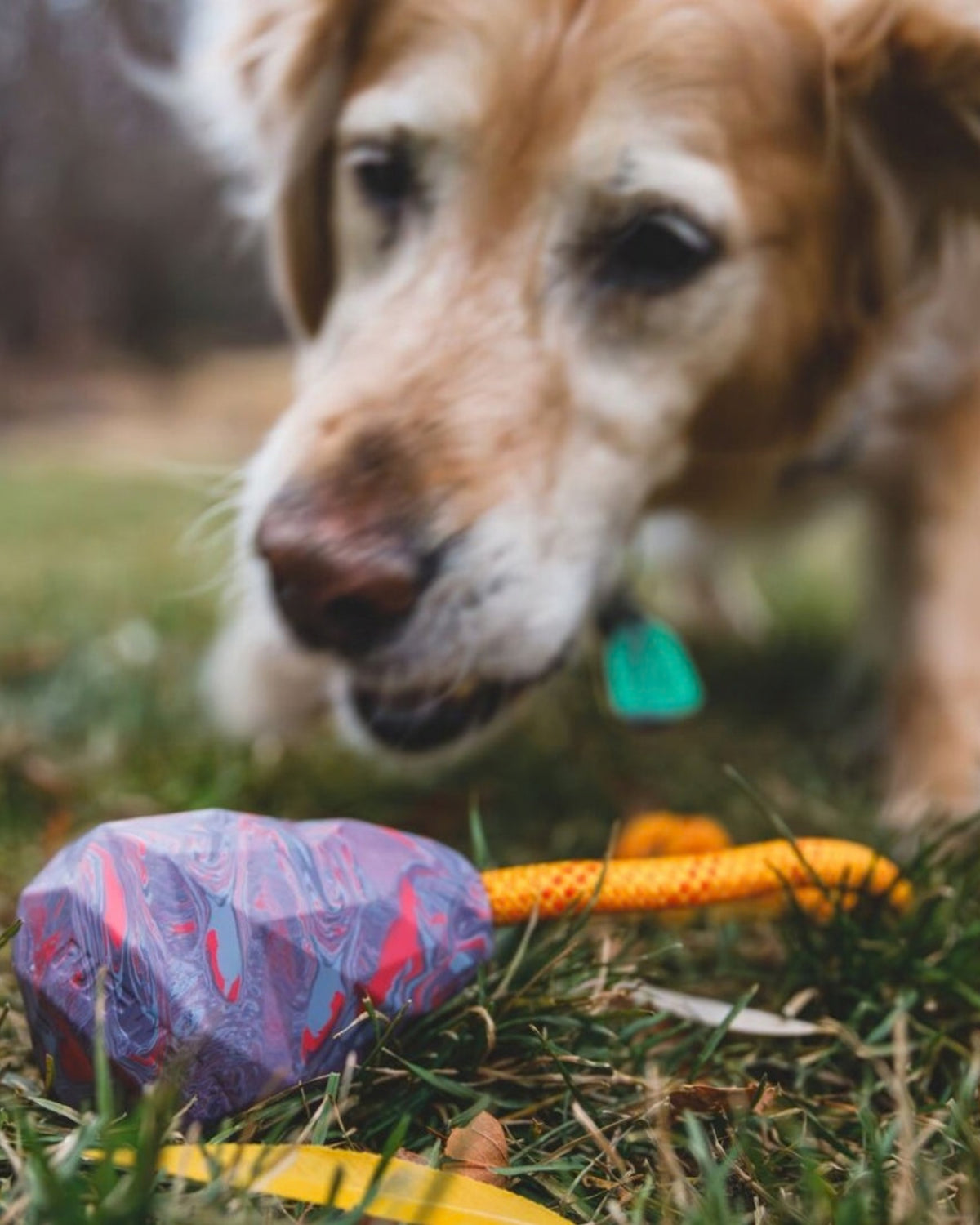 İpli Köpek Oyuncağı Ruffwear Huck a Cone