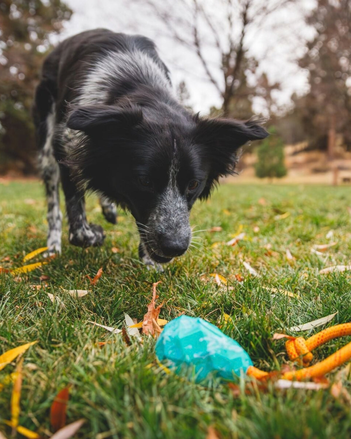 İpli Köpek Oyuncağı Ruffwear Huck a Cone