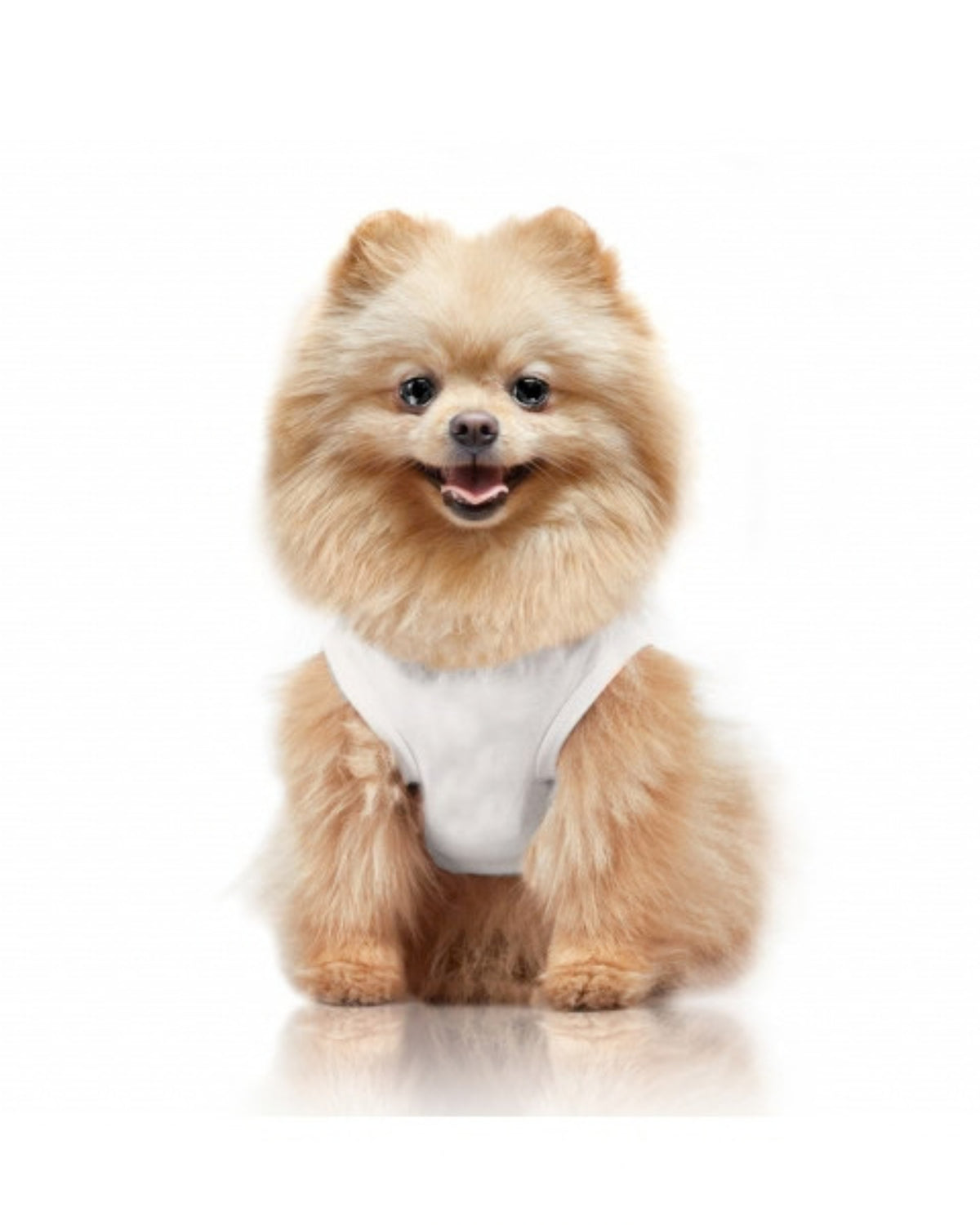 İşlemeli Köpek Tişörtü Milk&Pepper Zephyra T-shirt
