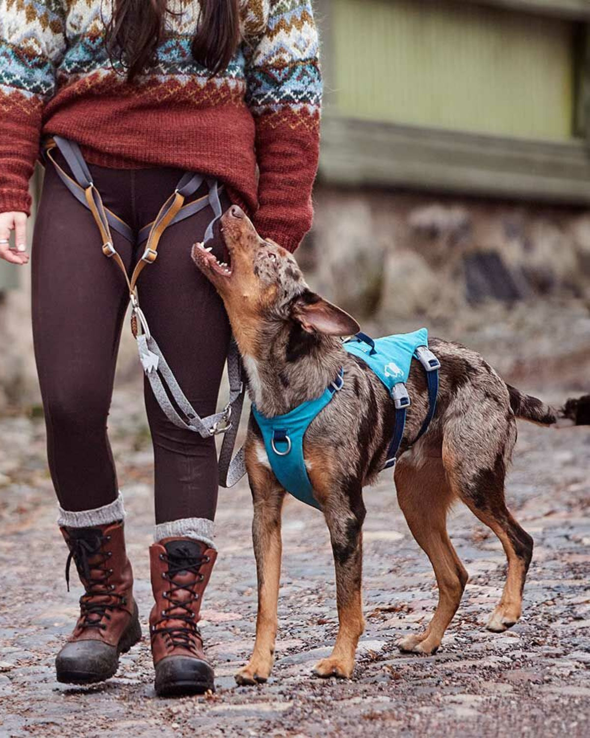 Kaçış Önleyici Köpek Göğüs Tasması Hurtta Safeguard Harness ECO