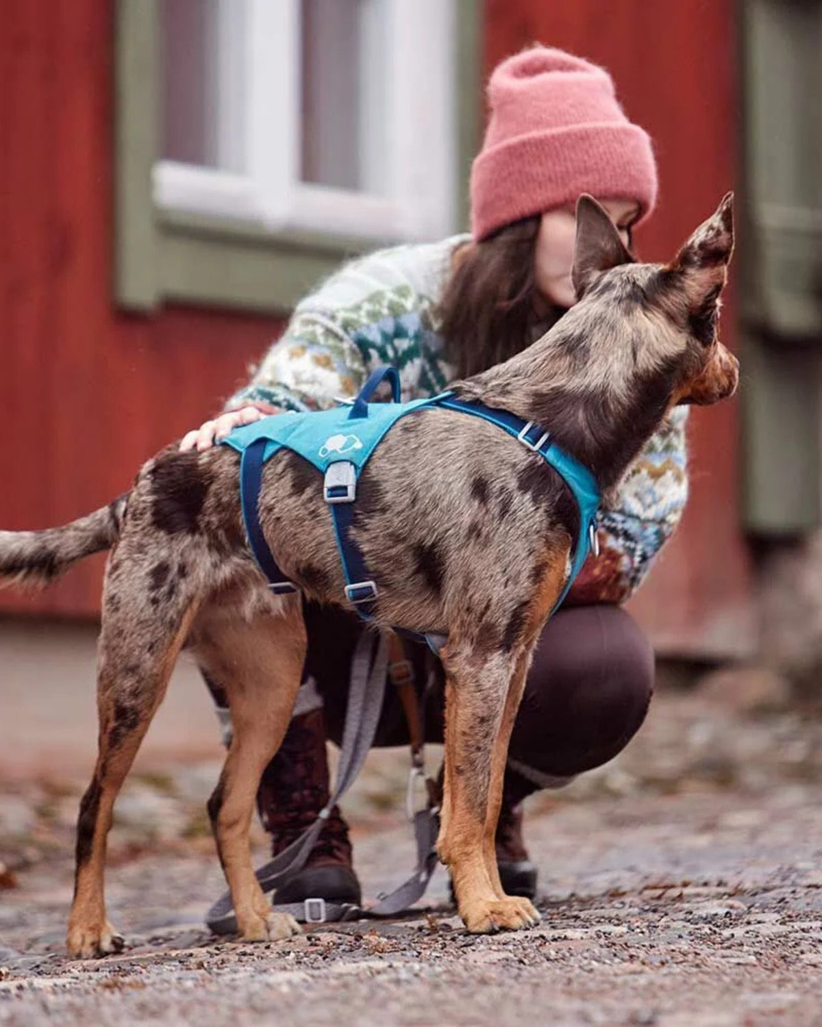 Kaçış Önleyici Köpek Göğüs Tasması Hurtta Safeguard Harness ECO