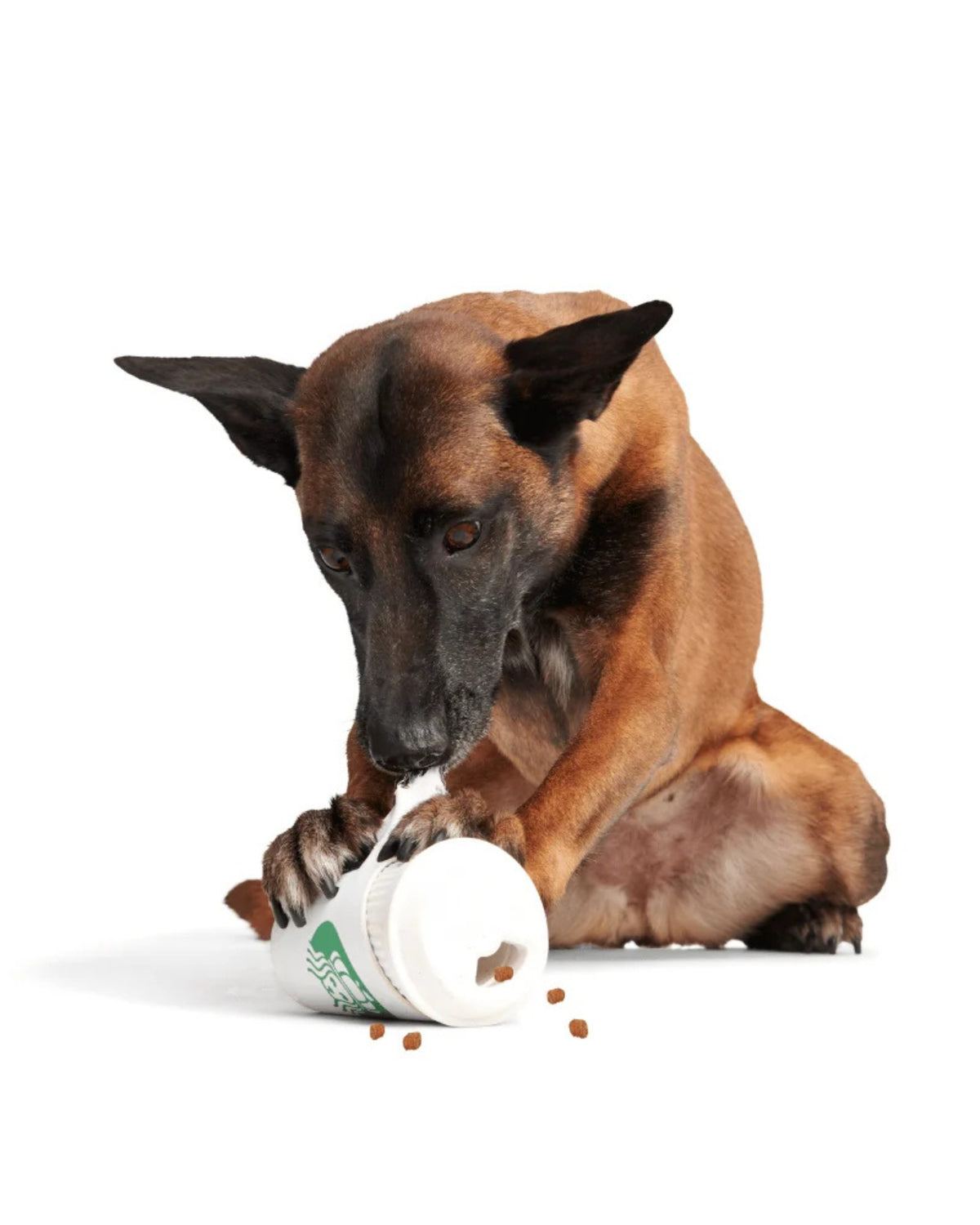 Kahve Bardağı Figürlü Ödül Dağıtan Sert Çiğneyici Köpek Oyuncağı BARK Pupkin Spice Yappucino