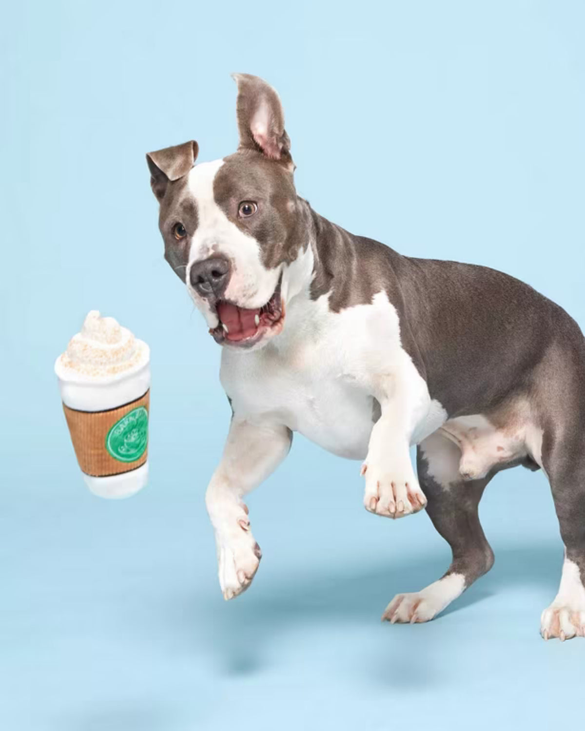Kahve Bardağı Figürlü Peluş Köpek Oyuncağı BARK Cup of BARK Roast