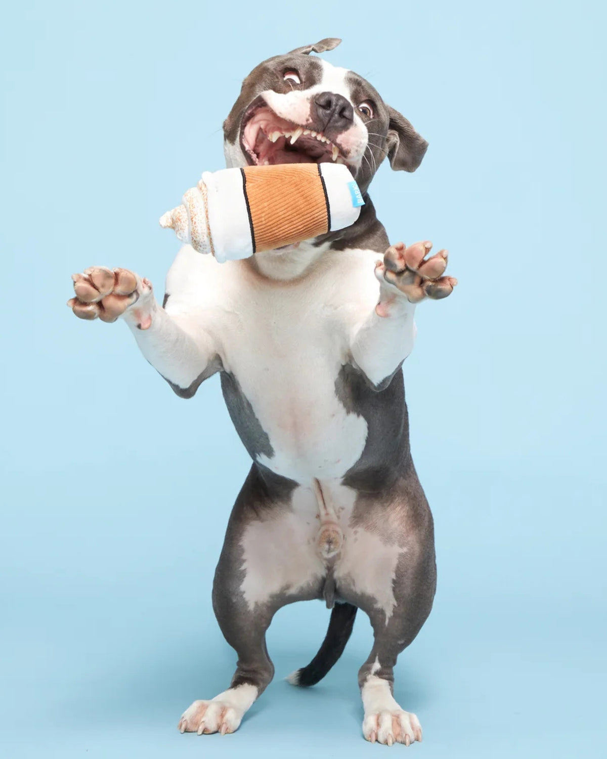 Kahve Bardağı Figürlü Peluş Köpek Oyuncağı BARK Cup of BARK Roast
