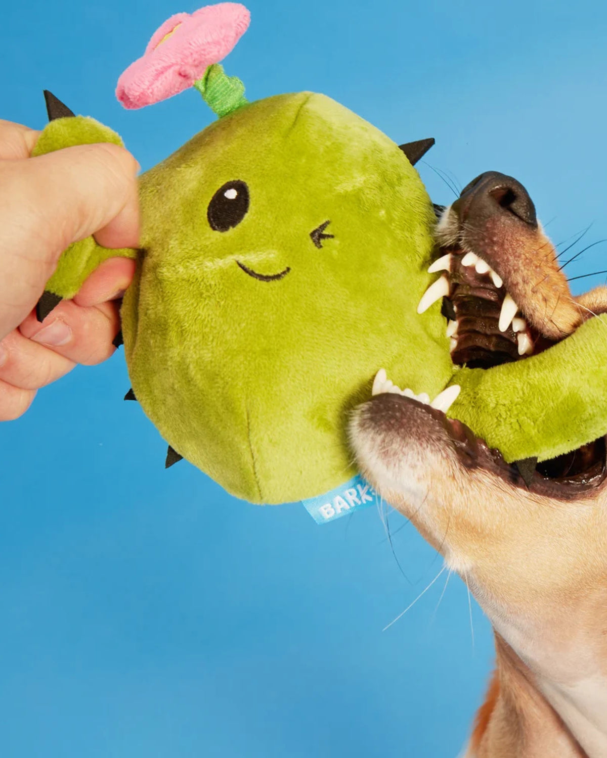 Kaktüs Figürlü 2'si 1 Arada Peluş Köpek Oyuncağı BARK Consuela the Cactus