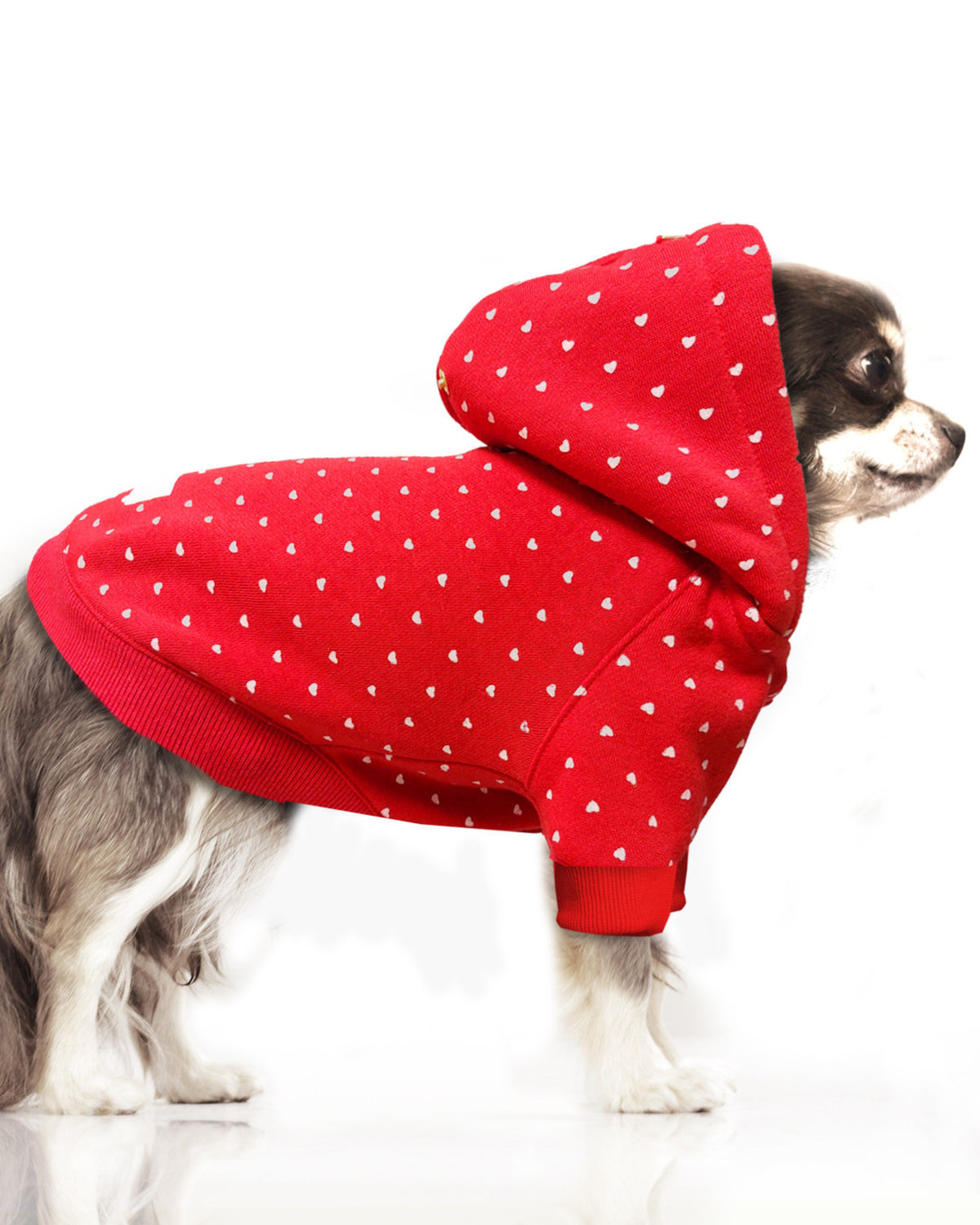 Kalp Desenli Kapüşonlu Köpek Sweatshirti Milk&Pepper Juliette Kırmızı