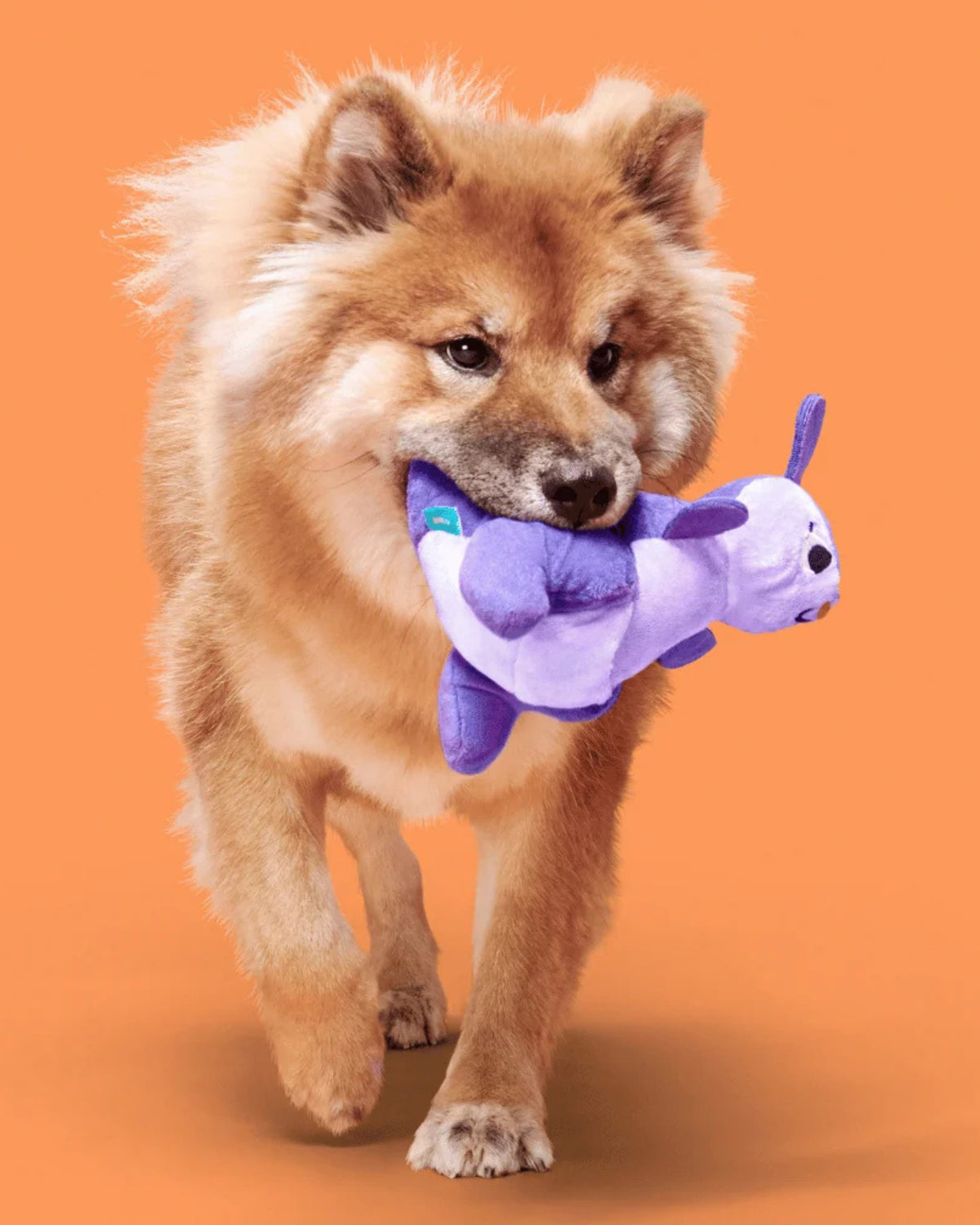 Kanguru Figürlü Ödül Cepli Peluş Köpek Oyuncağı BARK Topanga Kanga