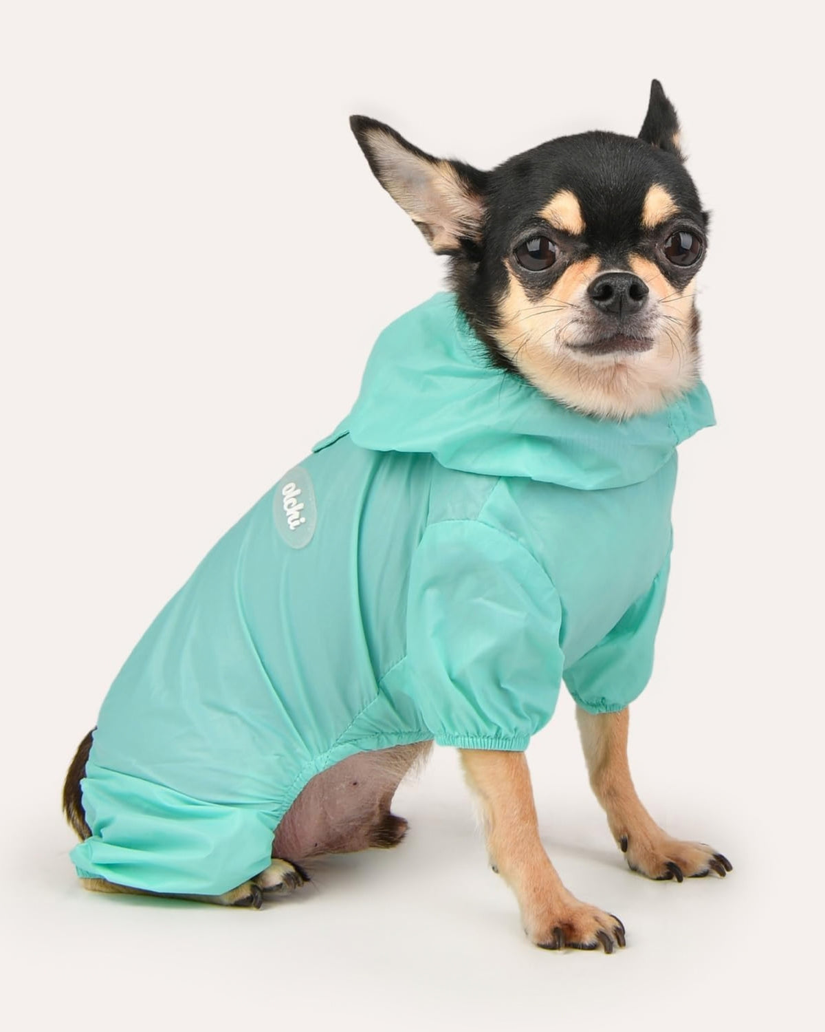 Kapüşonlu Ultra Hafif Gök Mavisi Köpek Yağmurluğu Olchi Candy All in One Raincoat