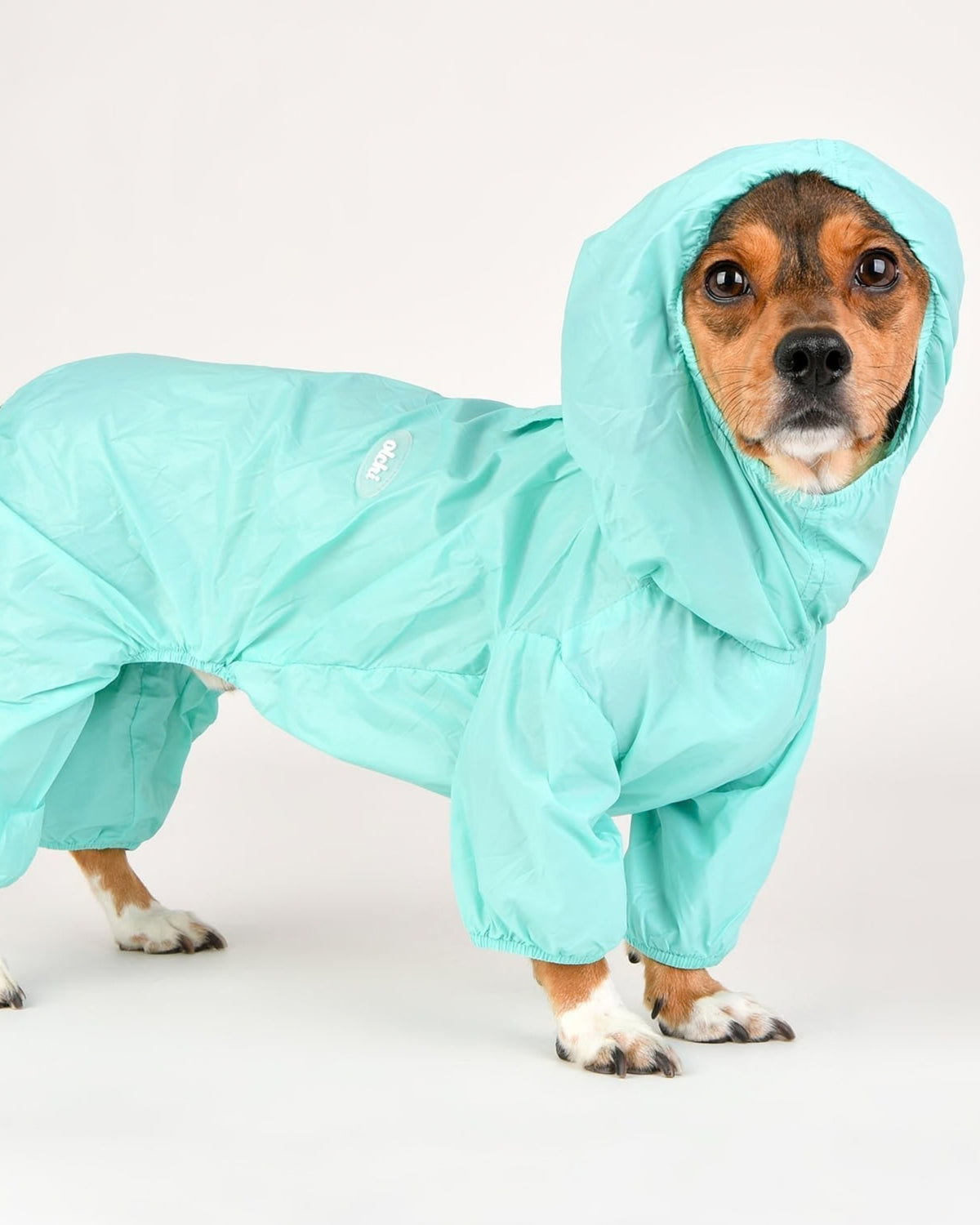 Kapüşonlu Ultra Hafif Gök Mavisi Köpek Yağmurluğu Olchi Candy All in One Raincoat