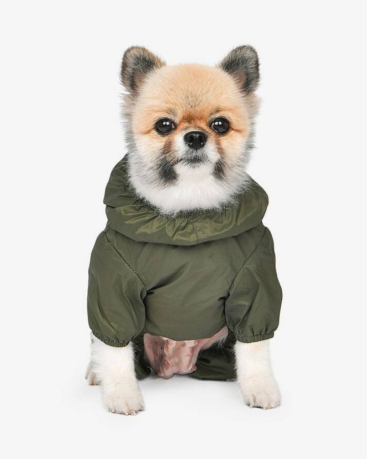 Kapüşonlu Ultra Hafif Haki Köpek Yağmurluğu Olchi Candy All in One Raincoat