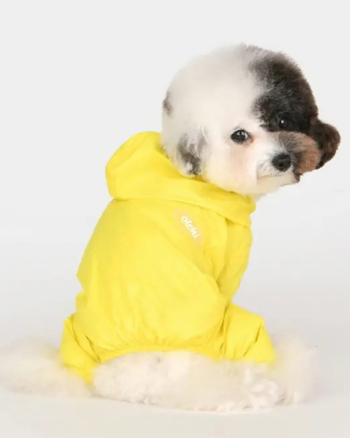 Kapüşonlu Ultra Hafif Sarı Köpek Yağmurluğu Olchi Candy All in One Raincoat