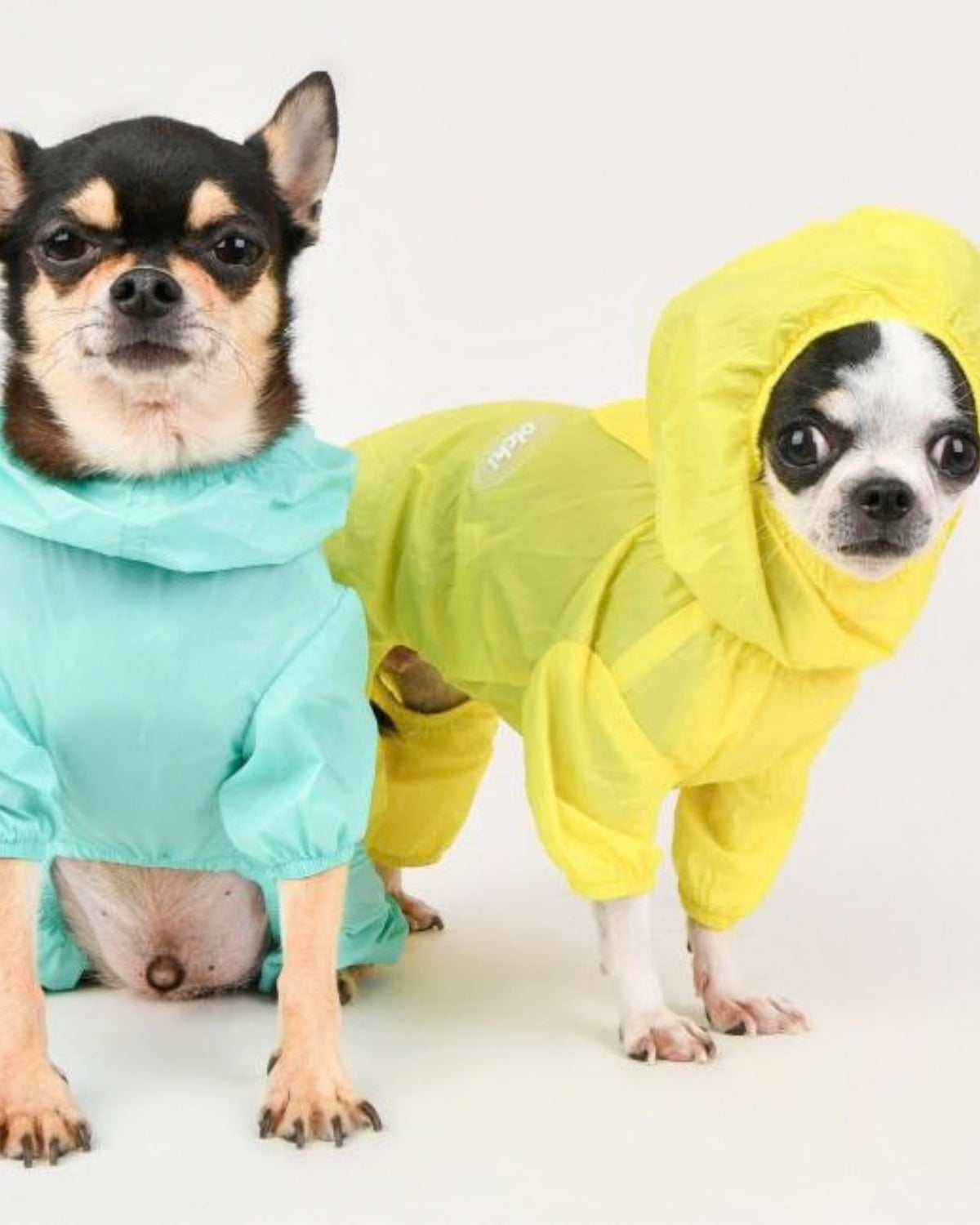 Kapüşonlu Ultra Hafif Sarı Köpek Yağmurluğu Olchi Candy All in One Raincoat