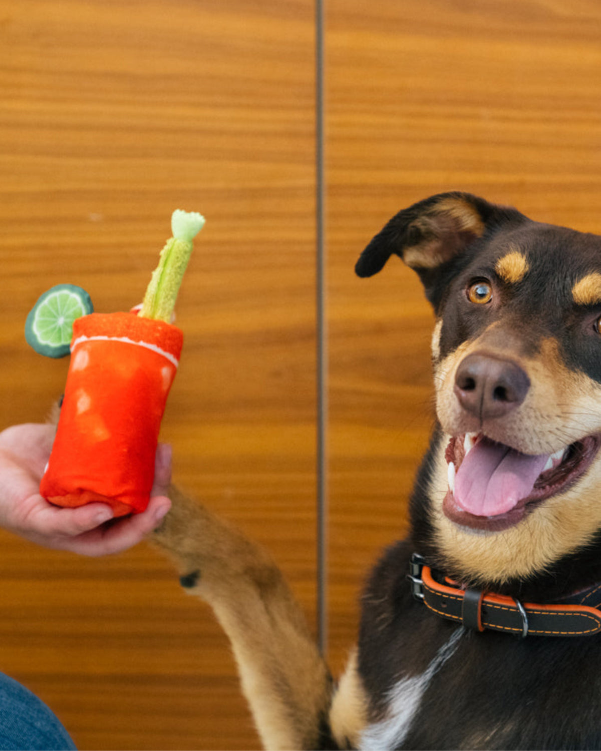 Karidesli ve Limonlu Kokteyl Bardağı Figürlü Hışırtılı Peluş Kırmızı Köpek Oyuncağı P.L.A.Y. Barking Brunch Buddy Mary