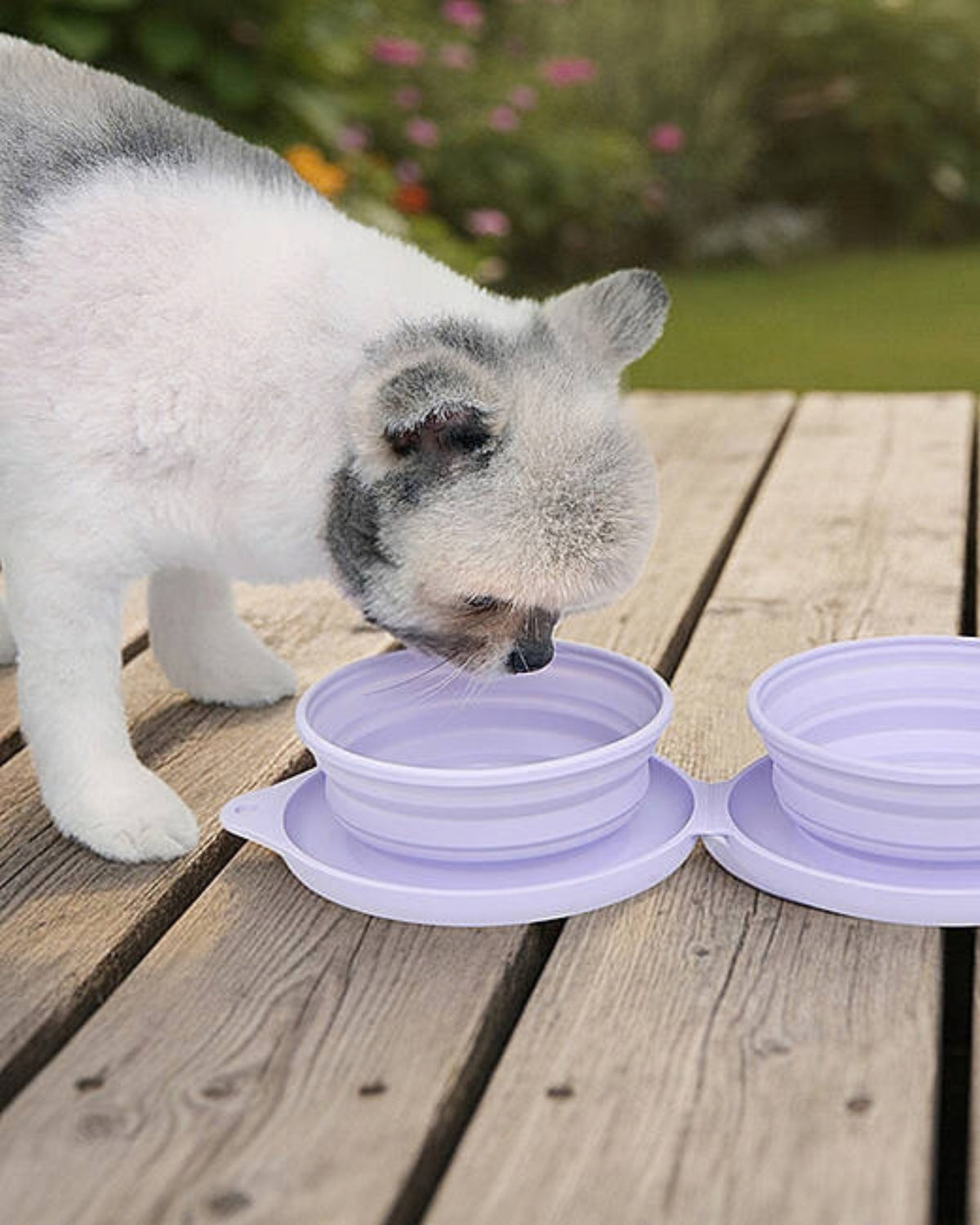 Katlanabilir Çift Hazneli Lila Silikon Köpek Seyahat Kabı Olchi Smile Dual Bowl