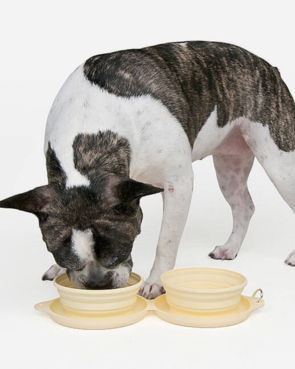 Katlanabilir Çift Hazneli Sarı Silikon Köpek Seyahat Kabı Olchi Smile Dual Bowl